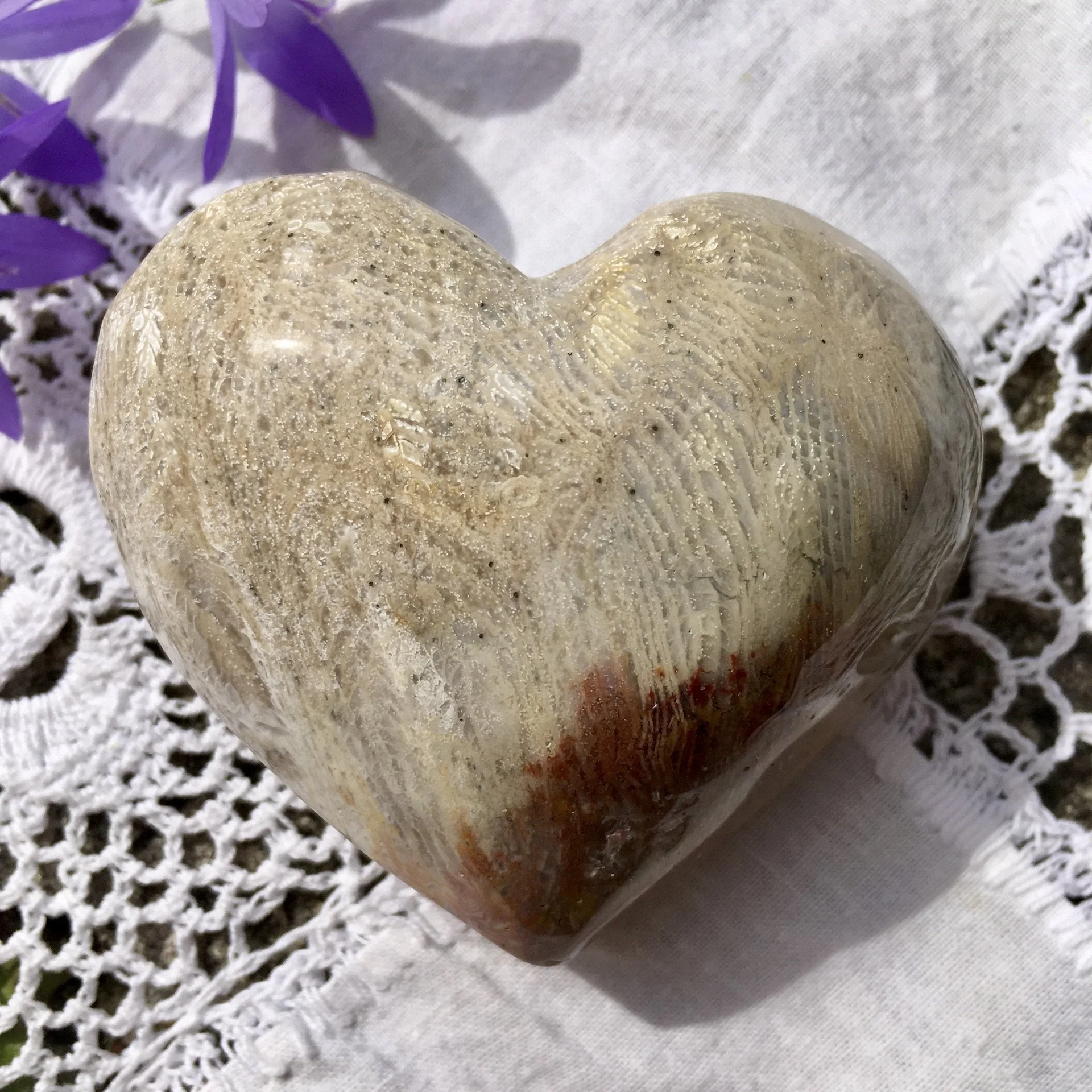 Fossil Coral heart b.jpeg