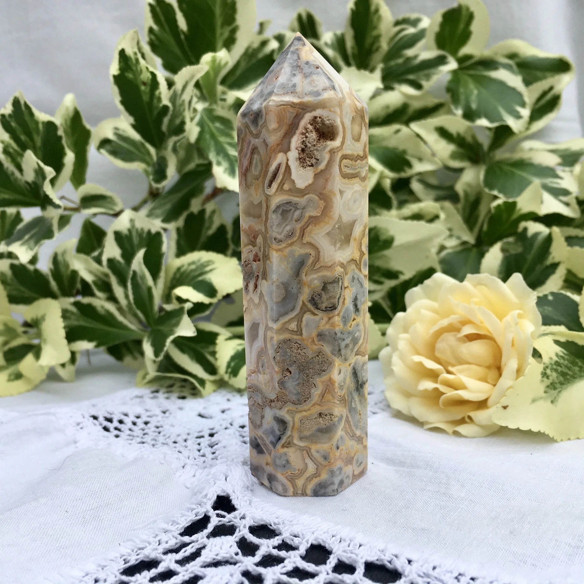 Crazy Lace Agate point 1a.jpeg