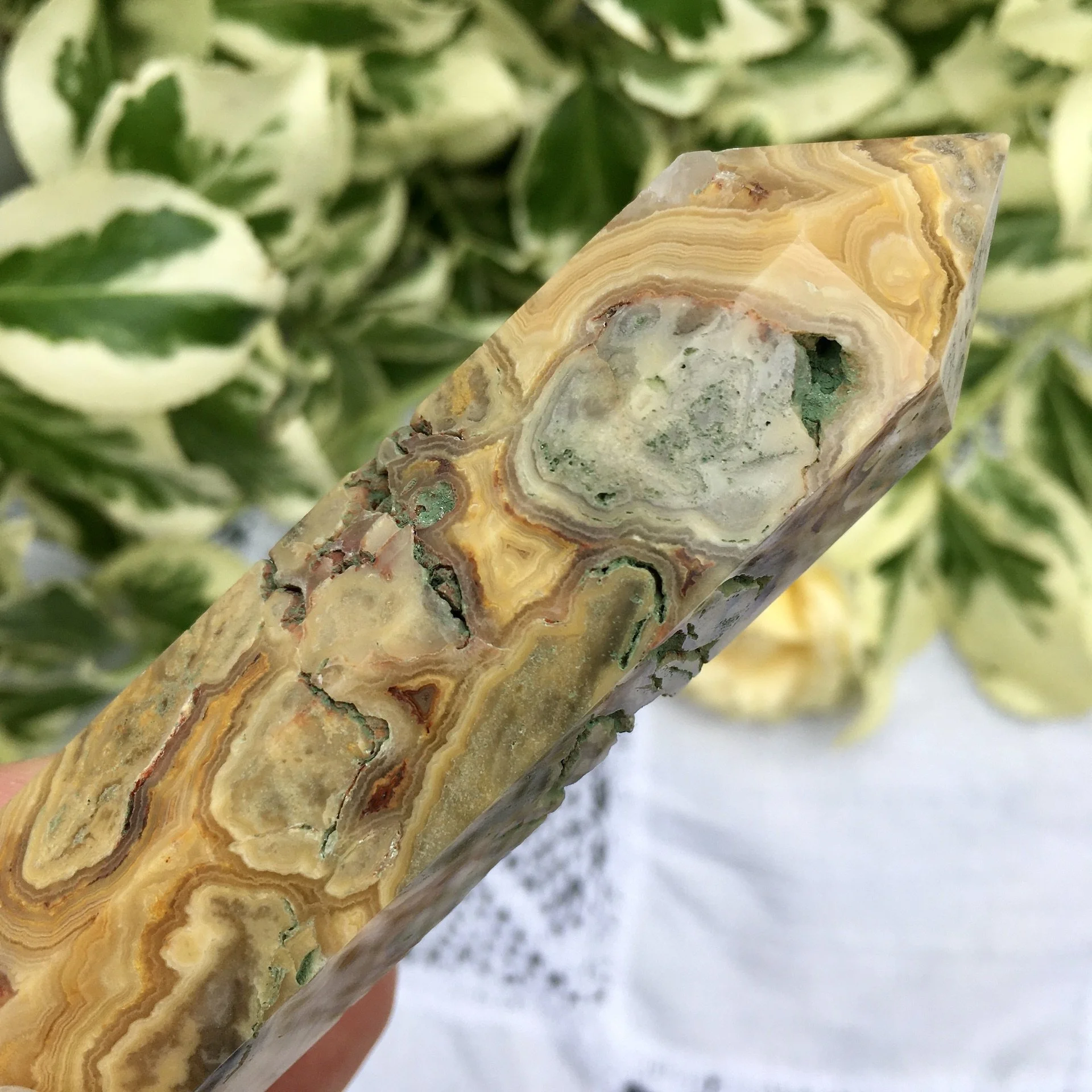 Crazy Lace Agate point 2h.jpeg