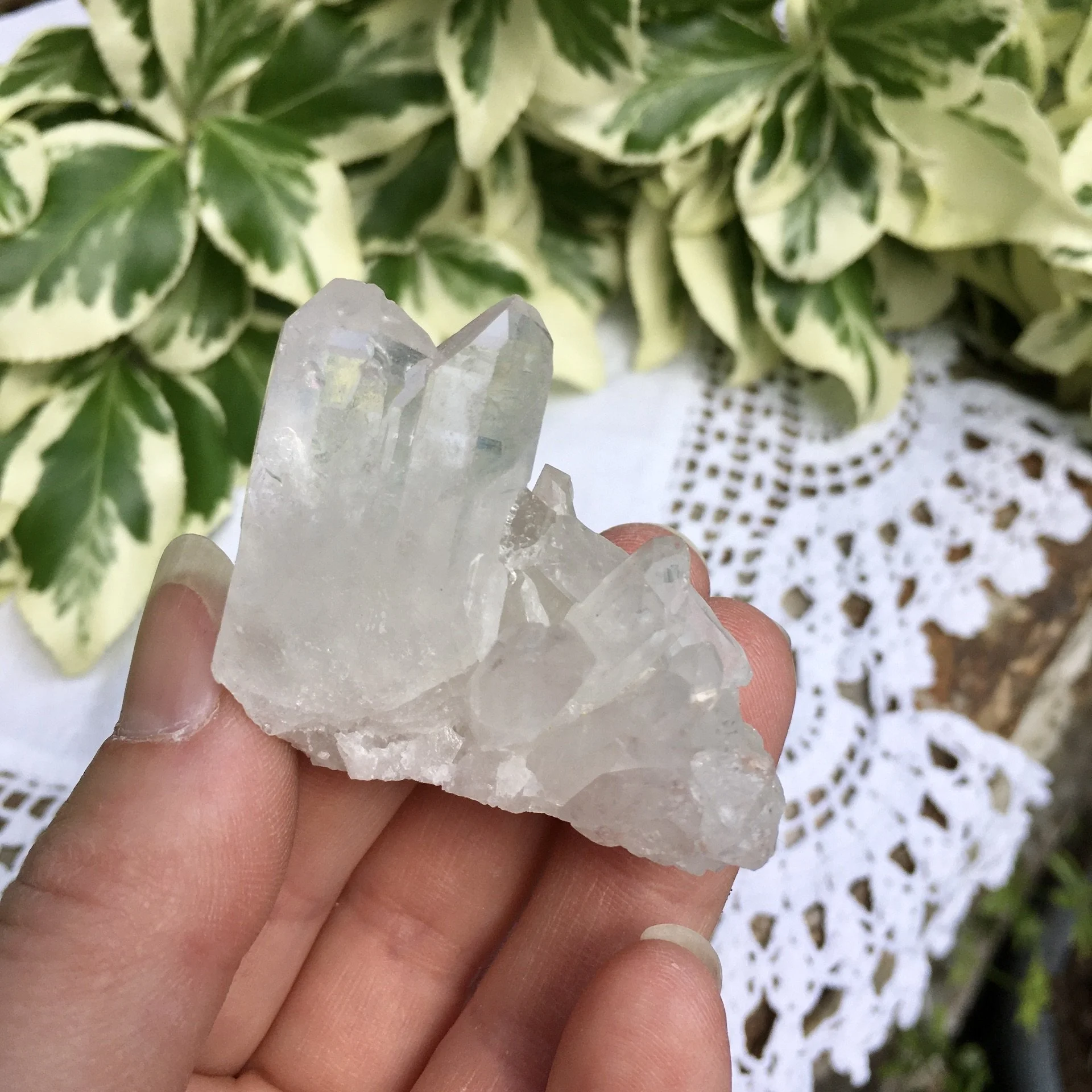 Quartz cluster 25d.jpeg