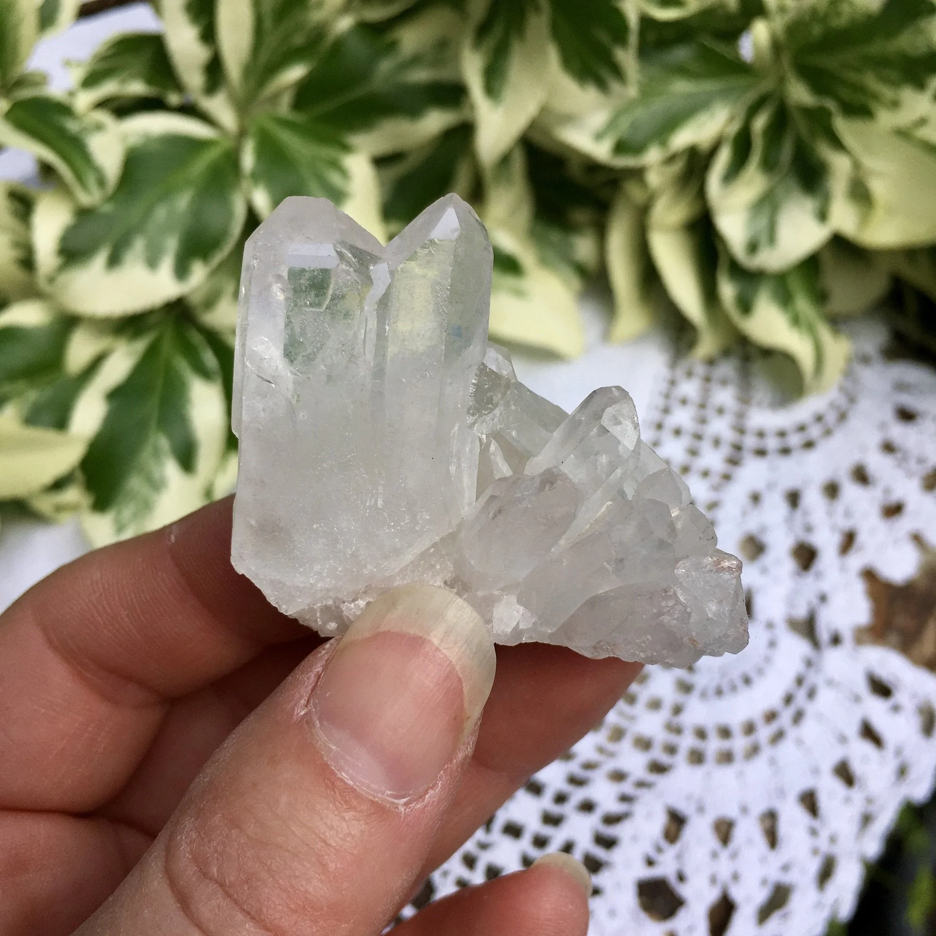 Quartz cluster 25c.jpeg