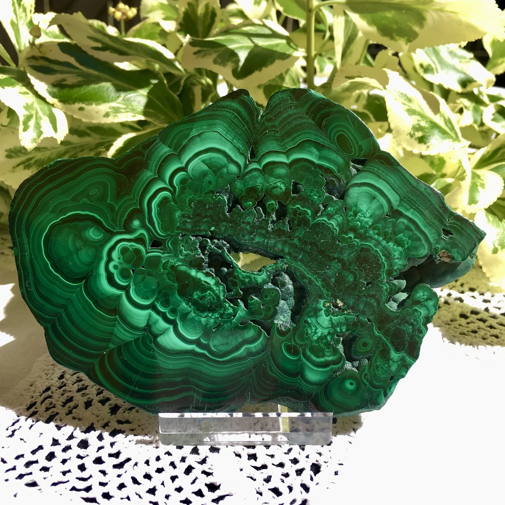 Malachite slice 1a.jpeg