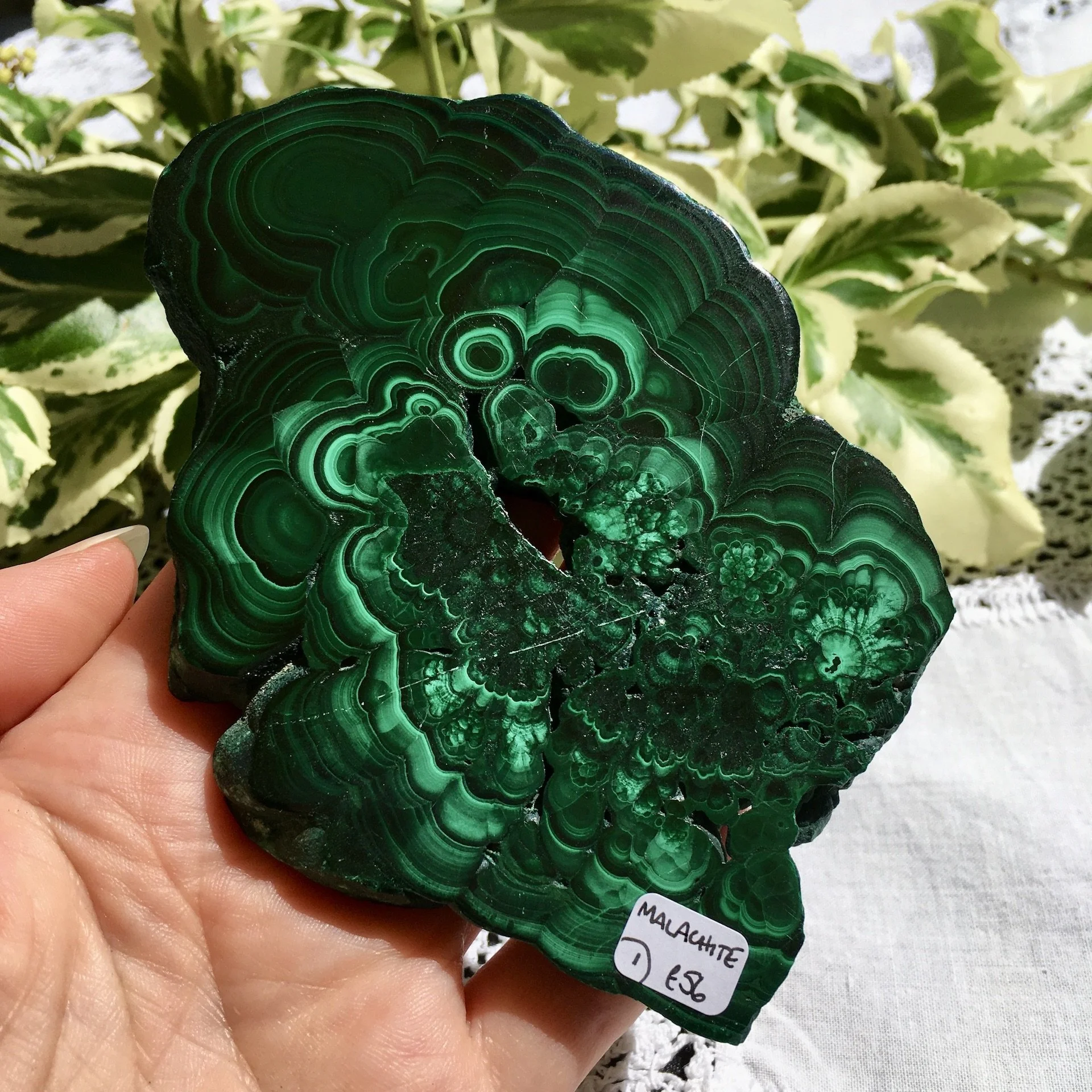 Malachite slice 1d.jpeg