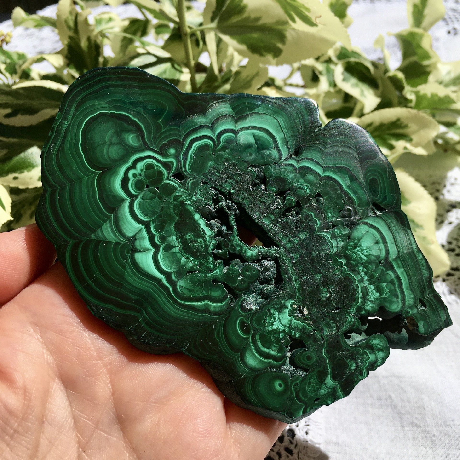 Malachite slice 1c.jpeg