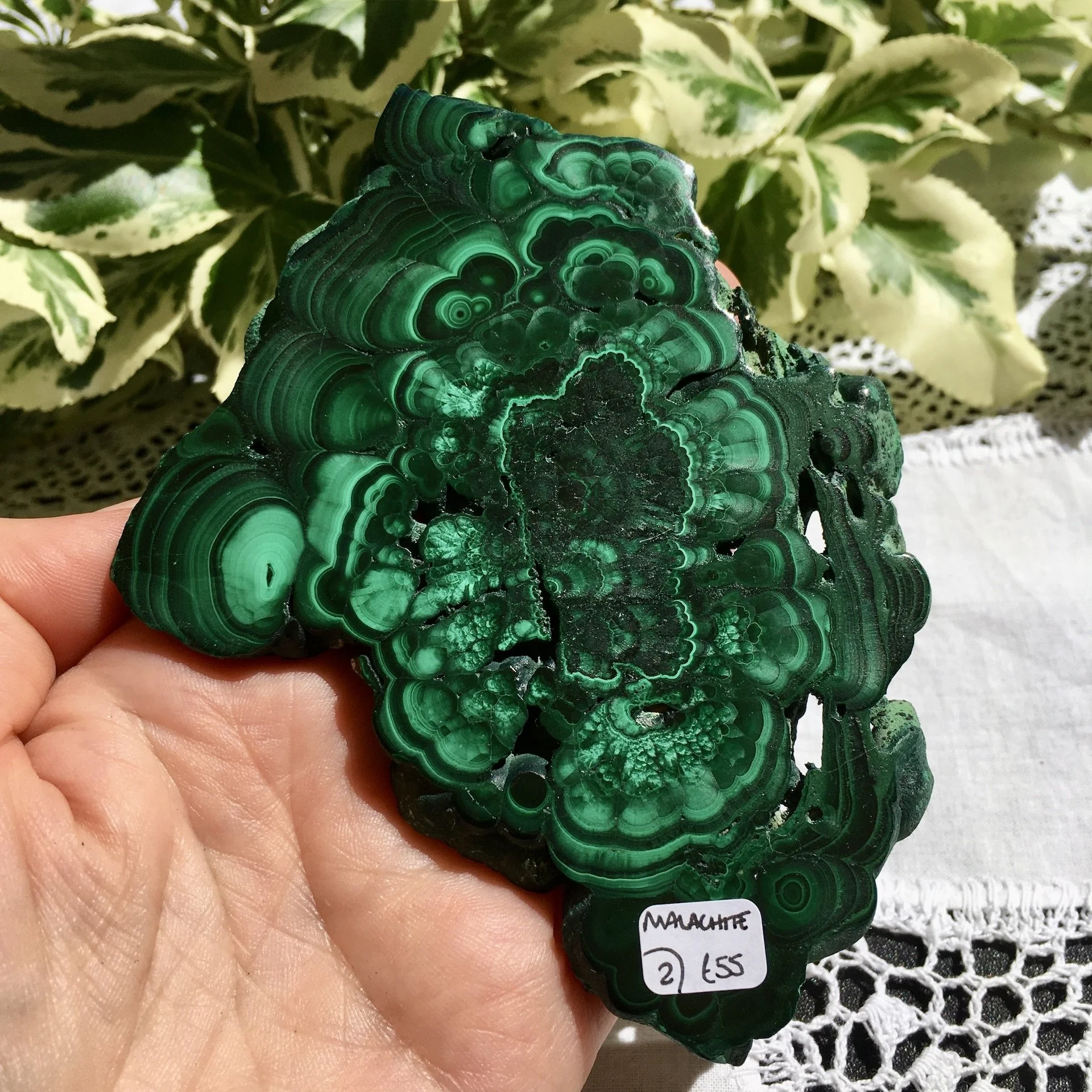 Malachite slice 2d.jpeg