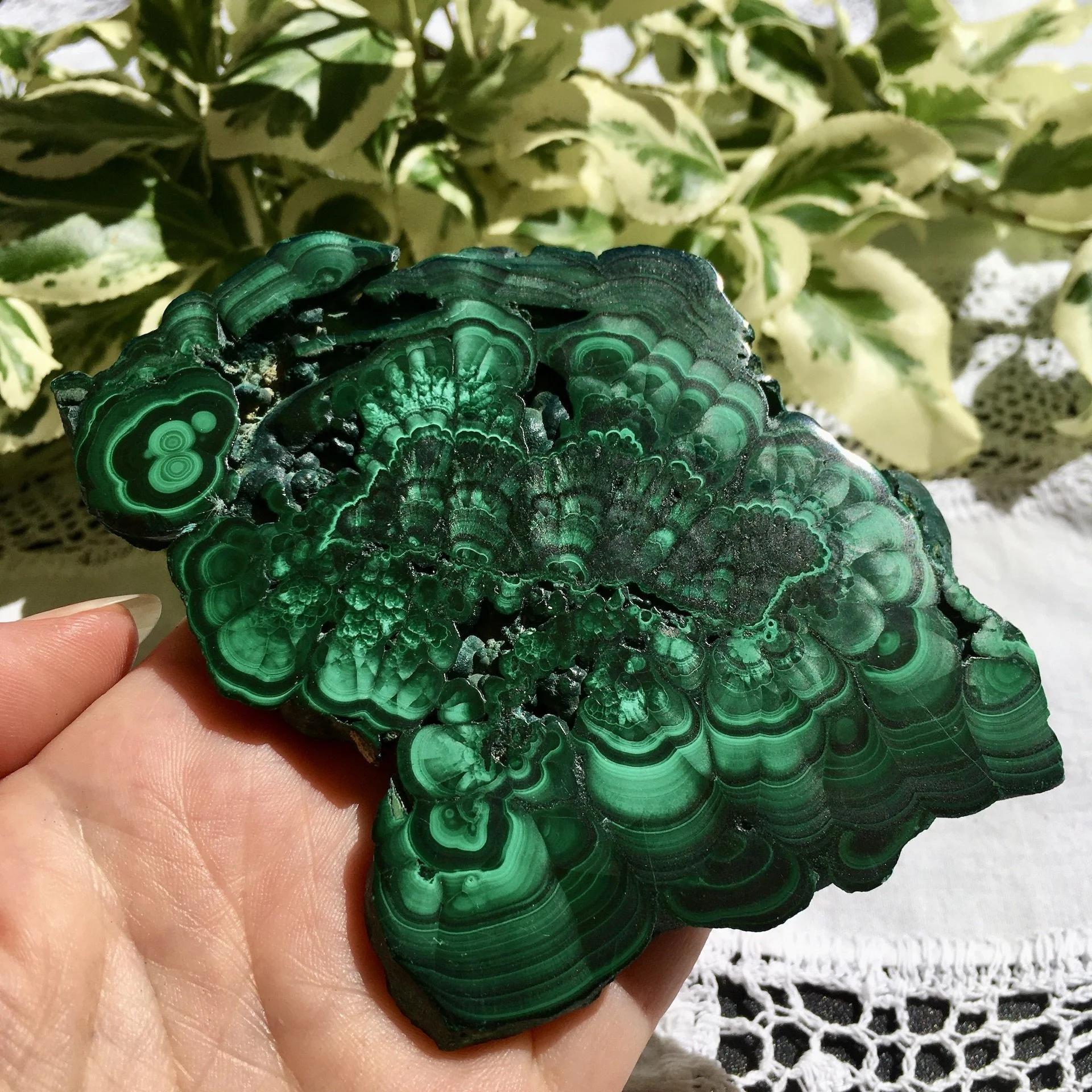 Malachite slice 2c.jpeg
