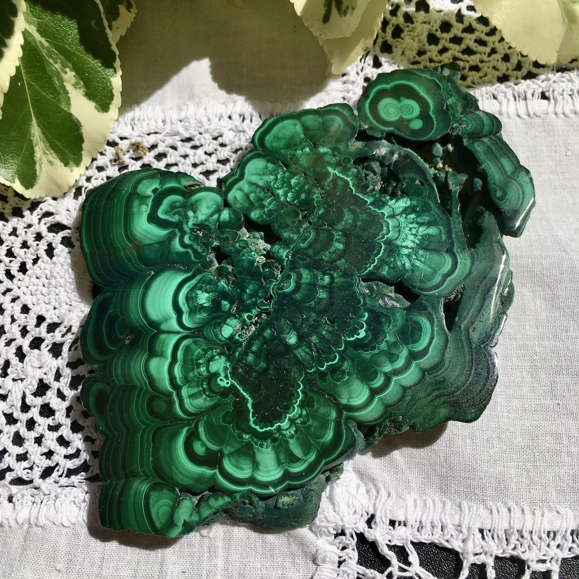 Malachite slice 2b.jpeg