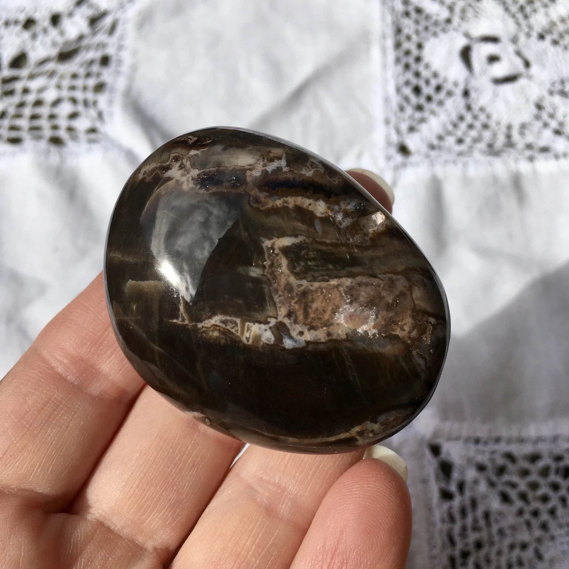 Petrified Wood Pebble 20d.jpeg