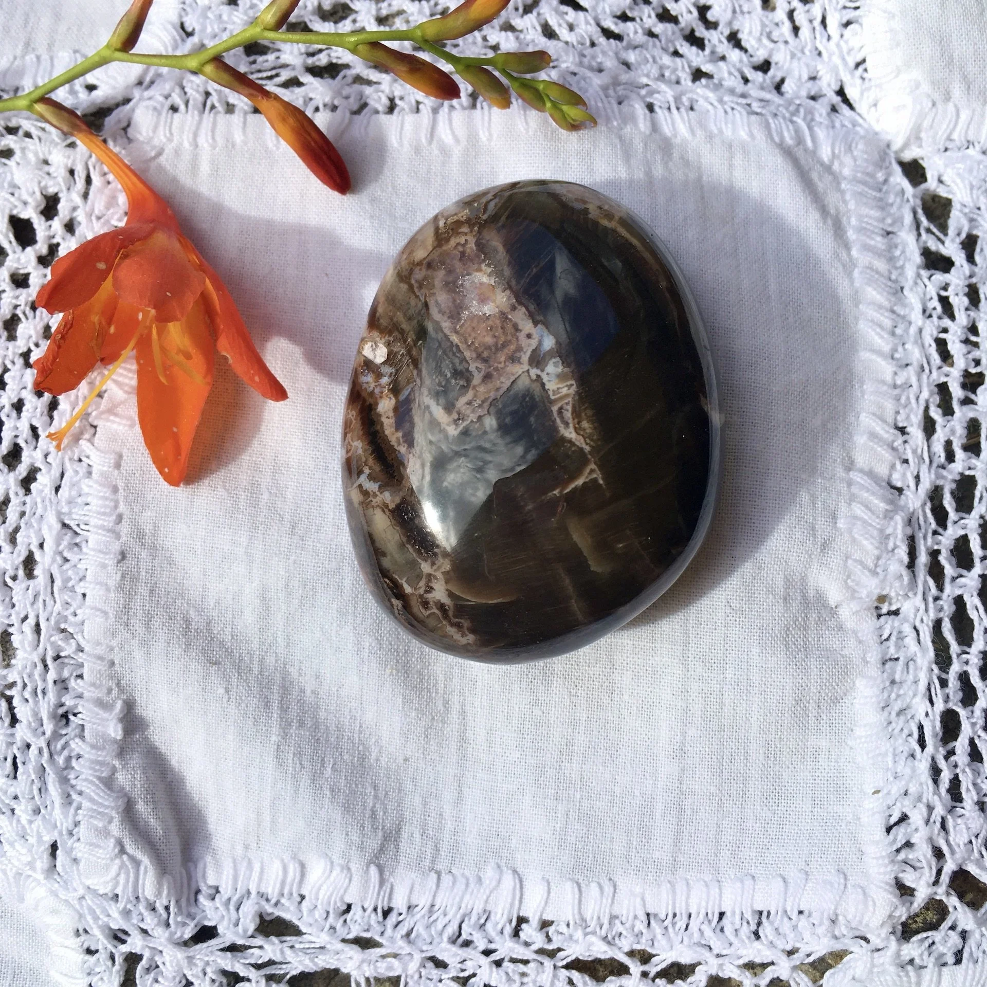 Petrified Wood Pebble 20a.jpeg