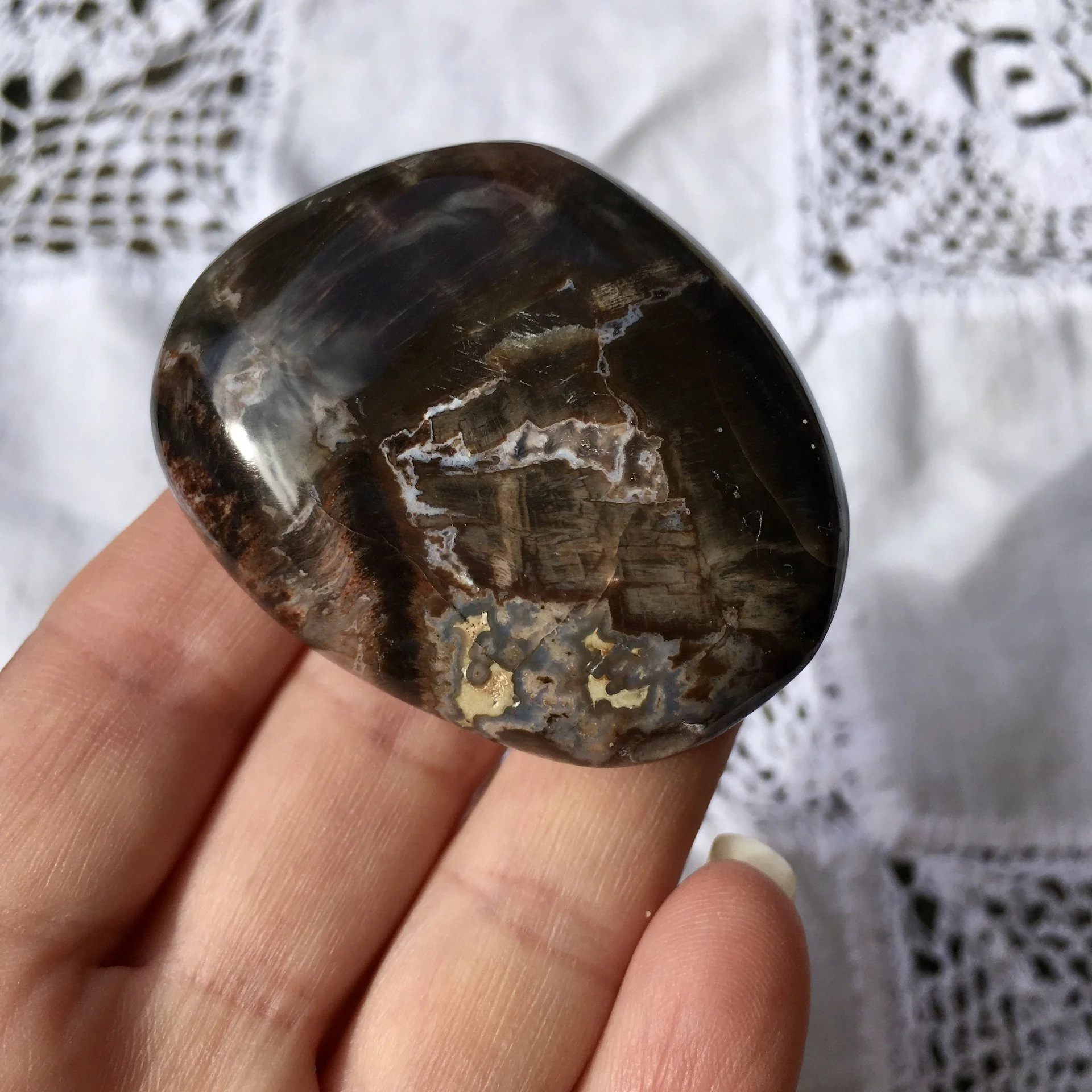 Petrified Wood Pebble 20c.jpeg