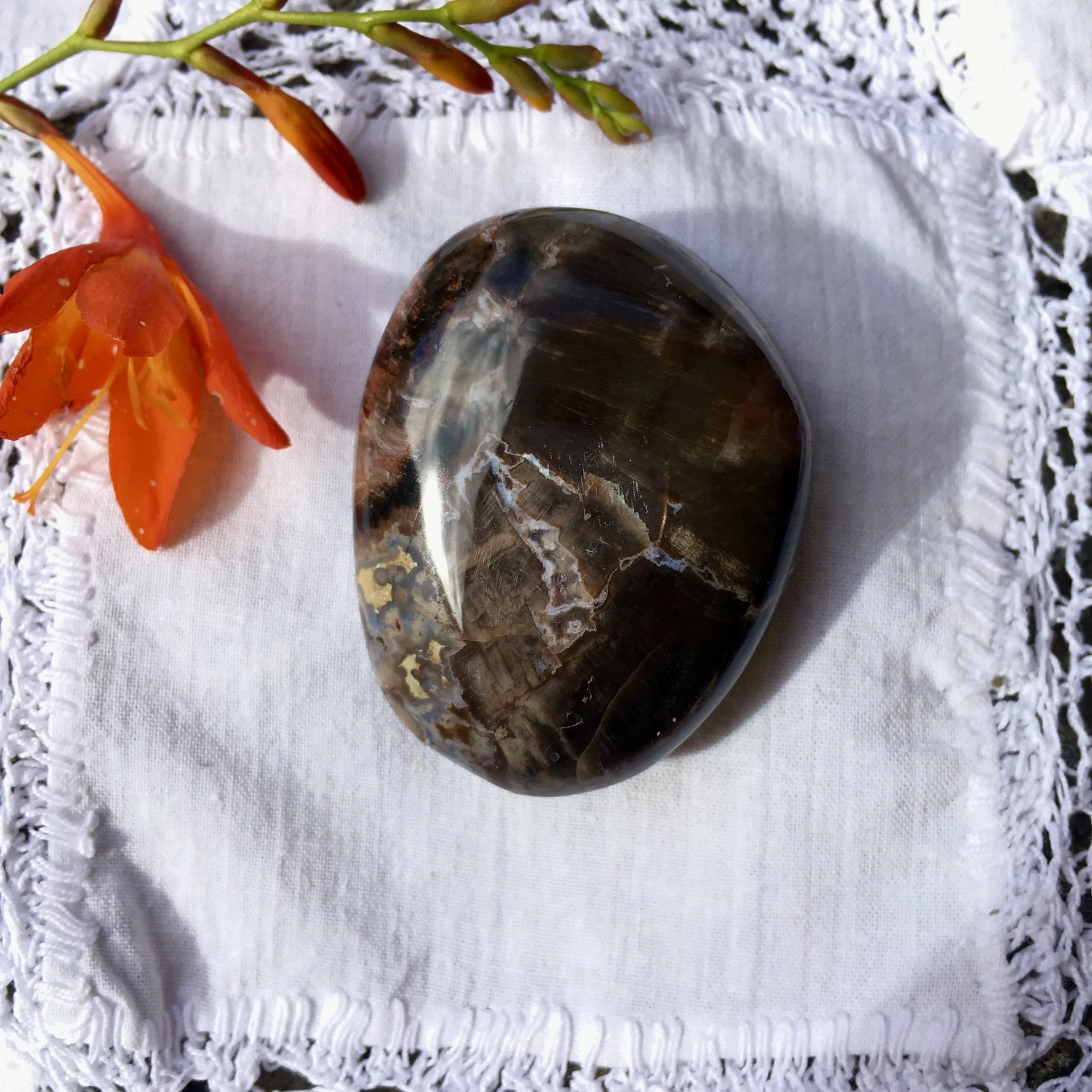 Petrified Wood Pebble 20b.jpeg