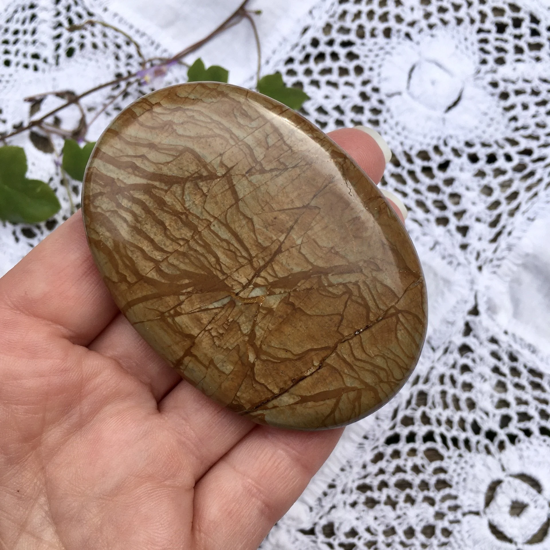 Walnut Jasper palmstone b.jpeg