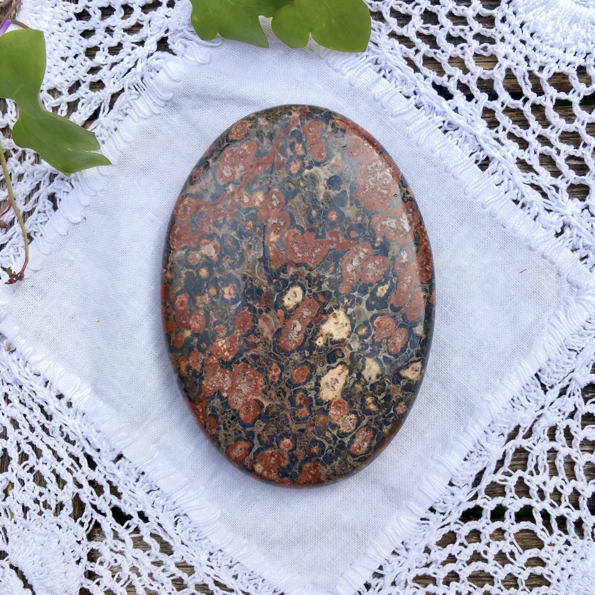 Leopardskin Jasper palm a.jpeg