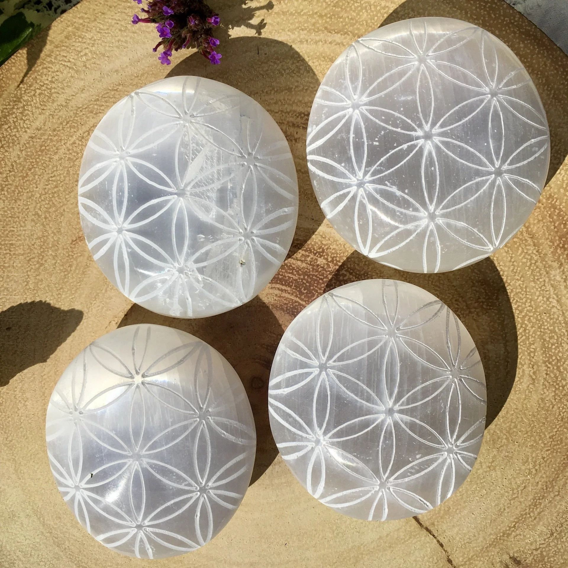 Selenite palmstones FOL a.jpeg