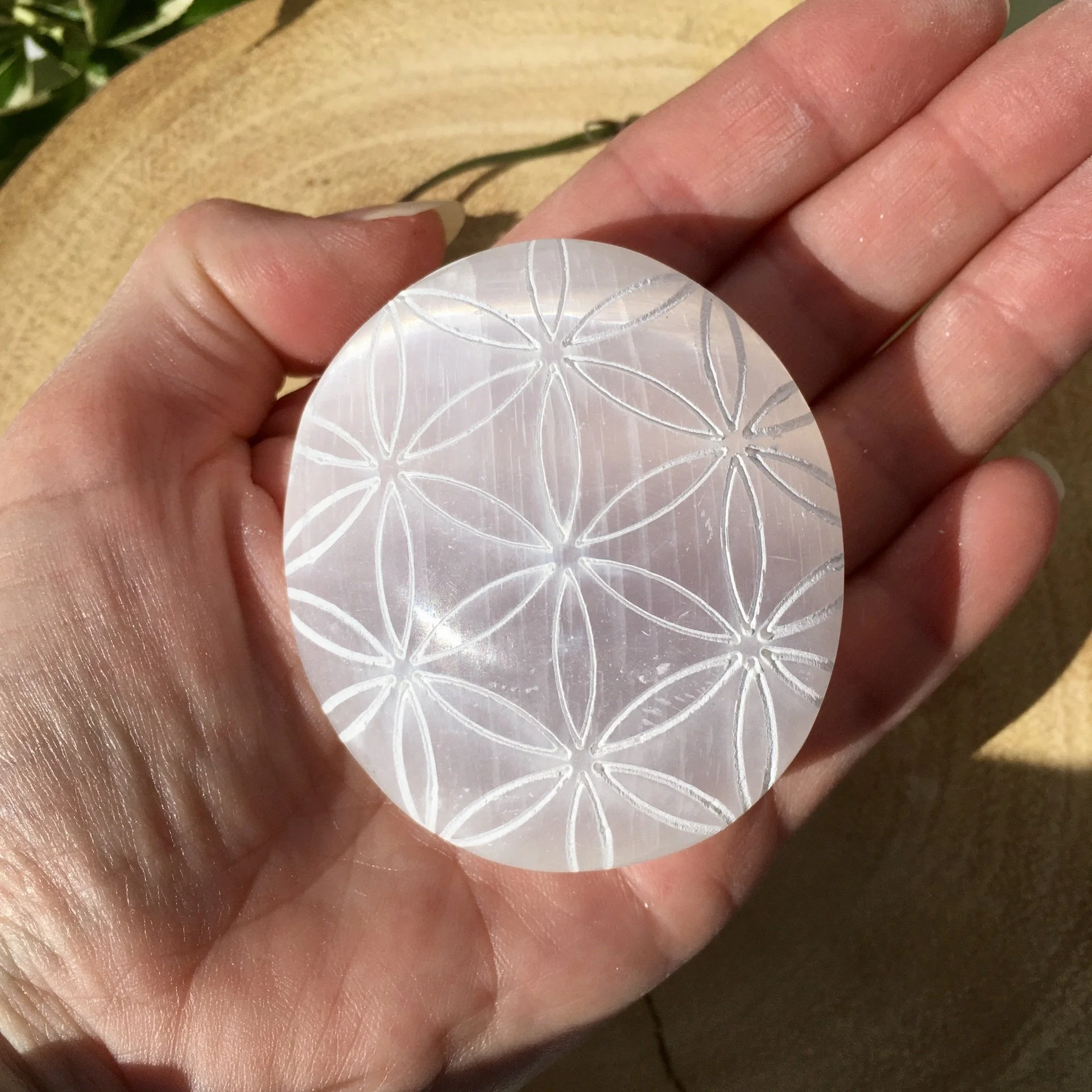 Selenite palmstones FOL d.jpeg