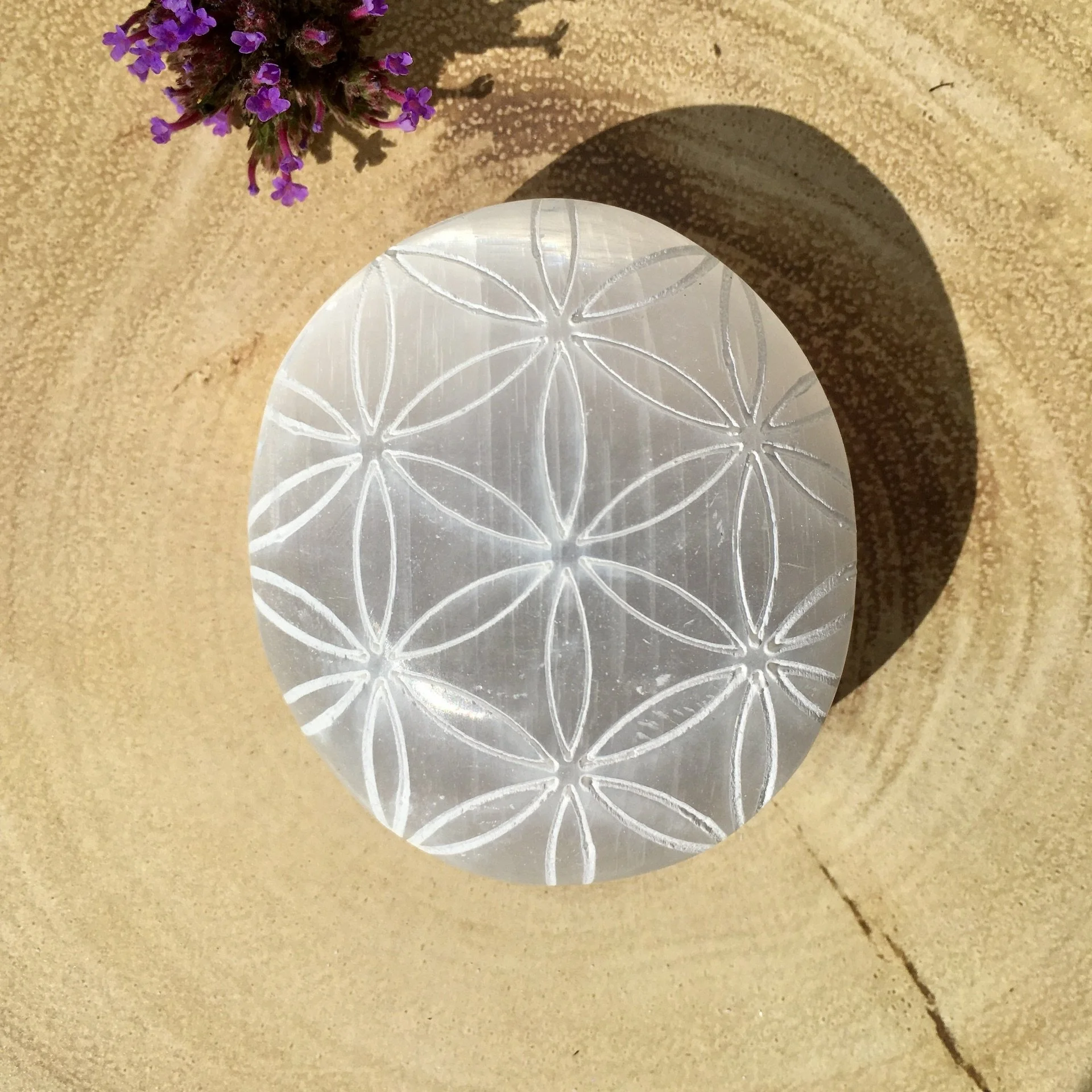 Selenite palmstones FOL b.jpeg