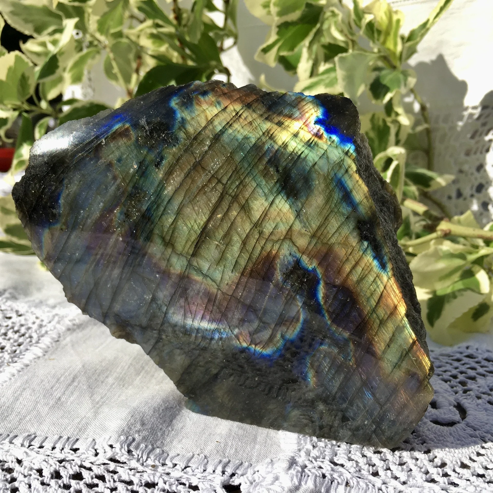 Labradorite polished one side 4a.jpeg