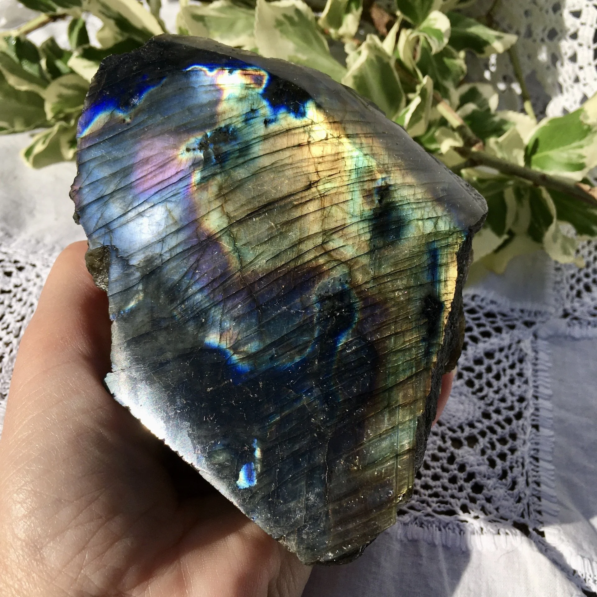 Labradorite polished one side 4b.jpeg