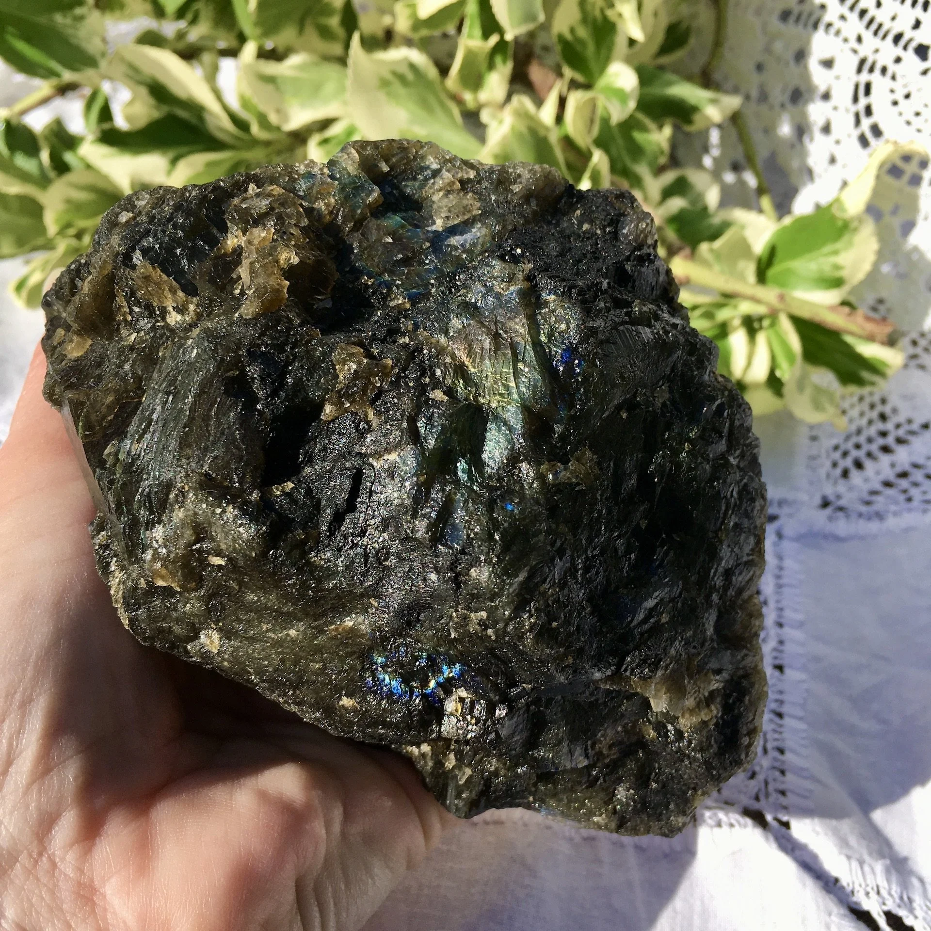 Labradorite polished one side 4d.jpeg