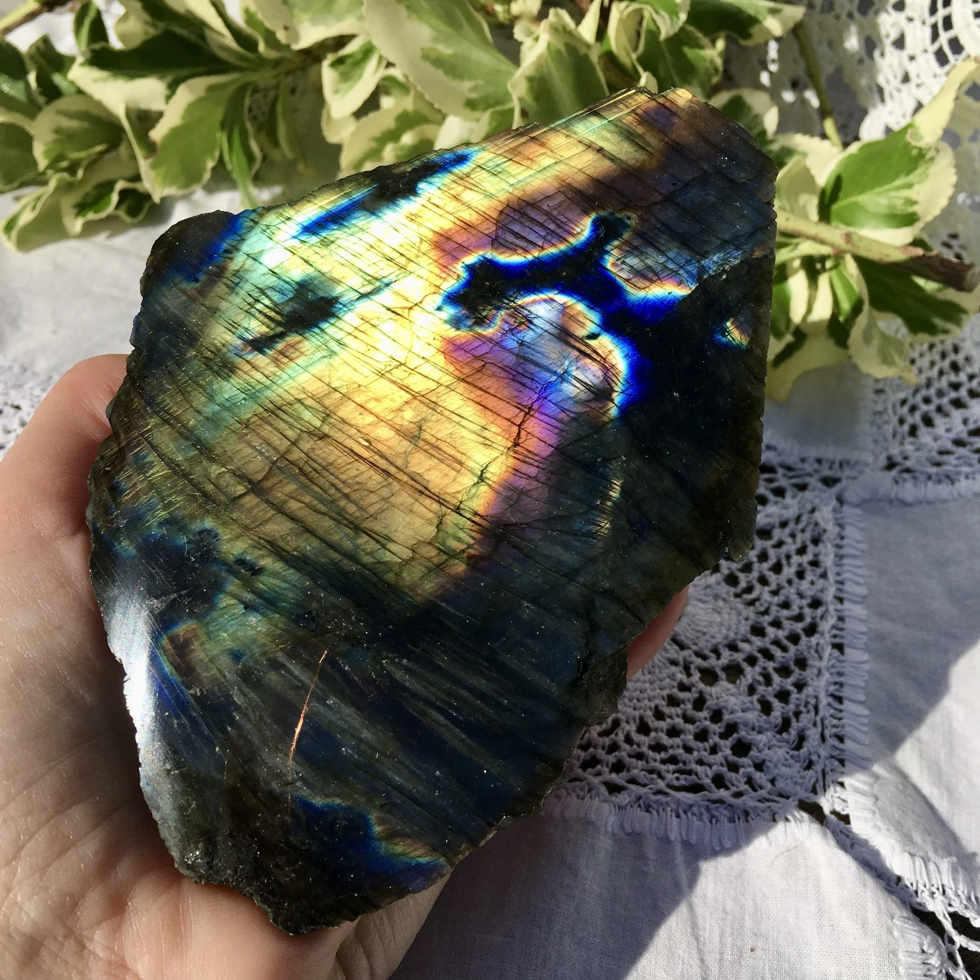 Labradorite polished one side 4c.jpeg