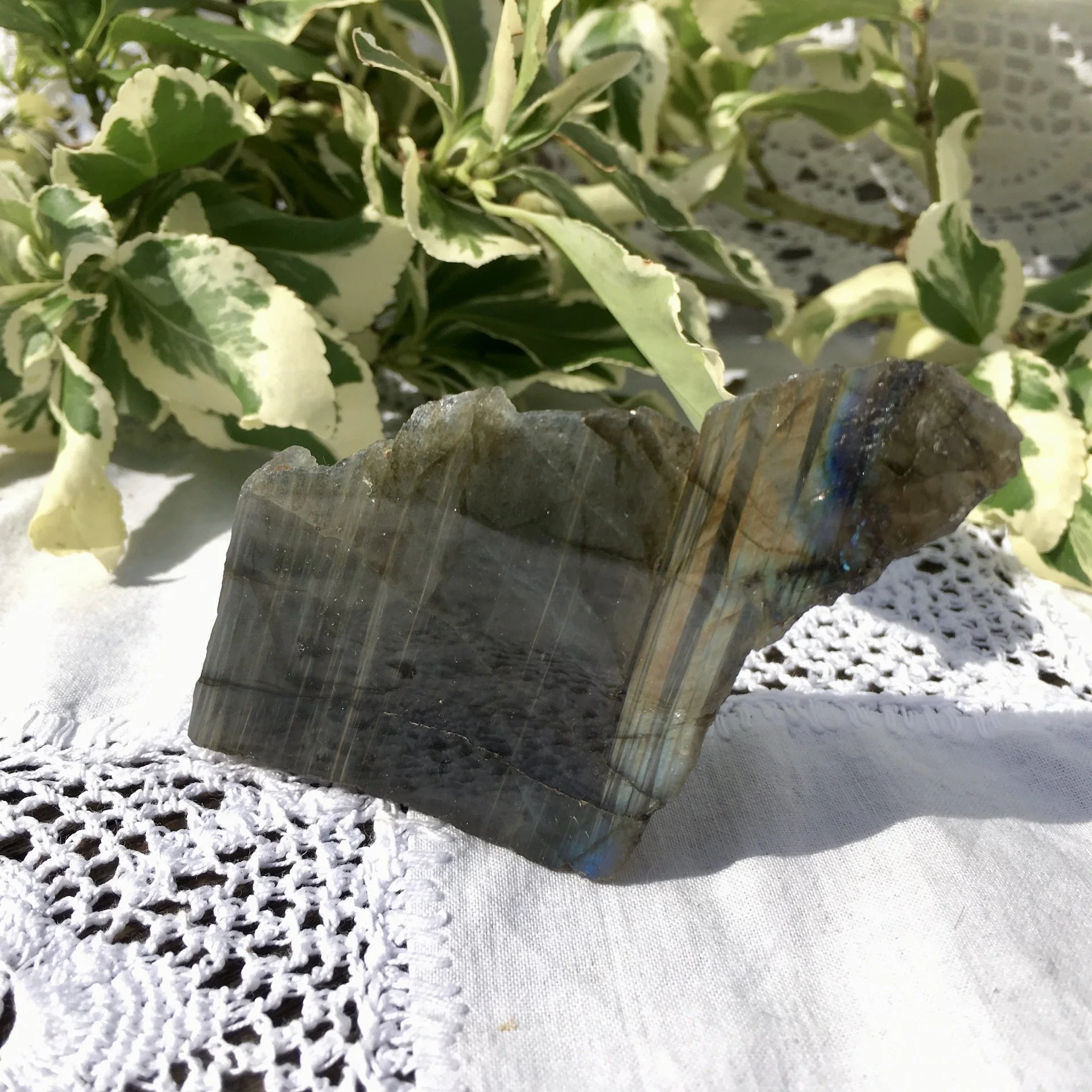 Labradorite polished one side 28a.jpeg