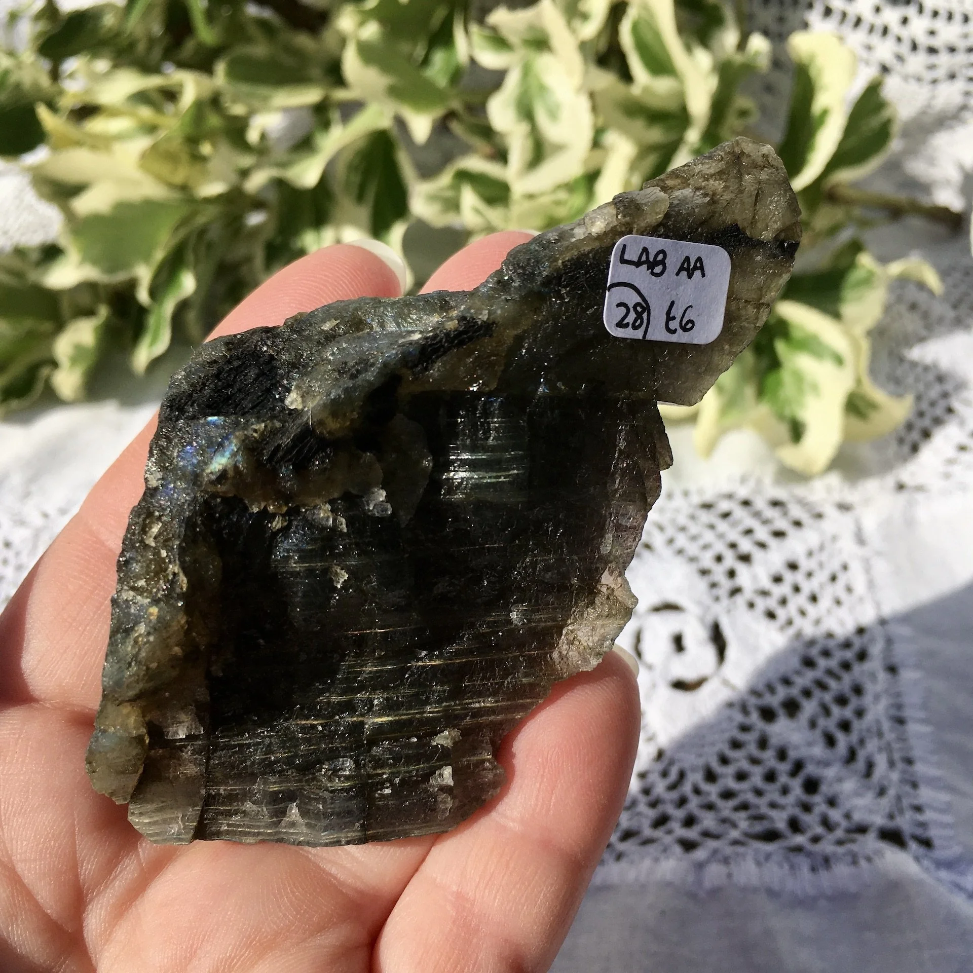 Labradorite polished one side 28e.jpeg
