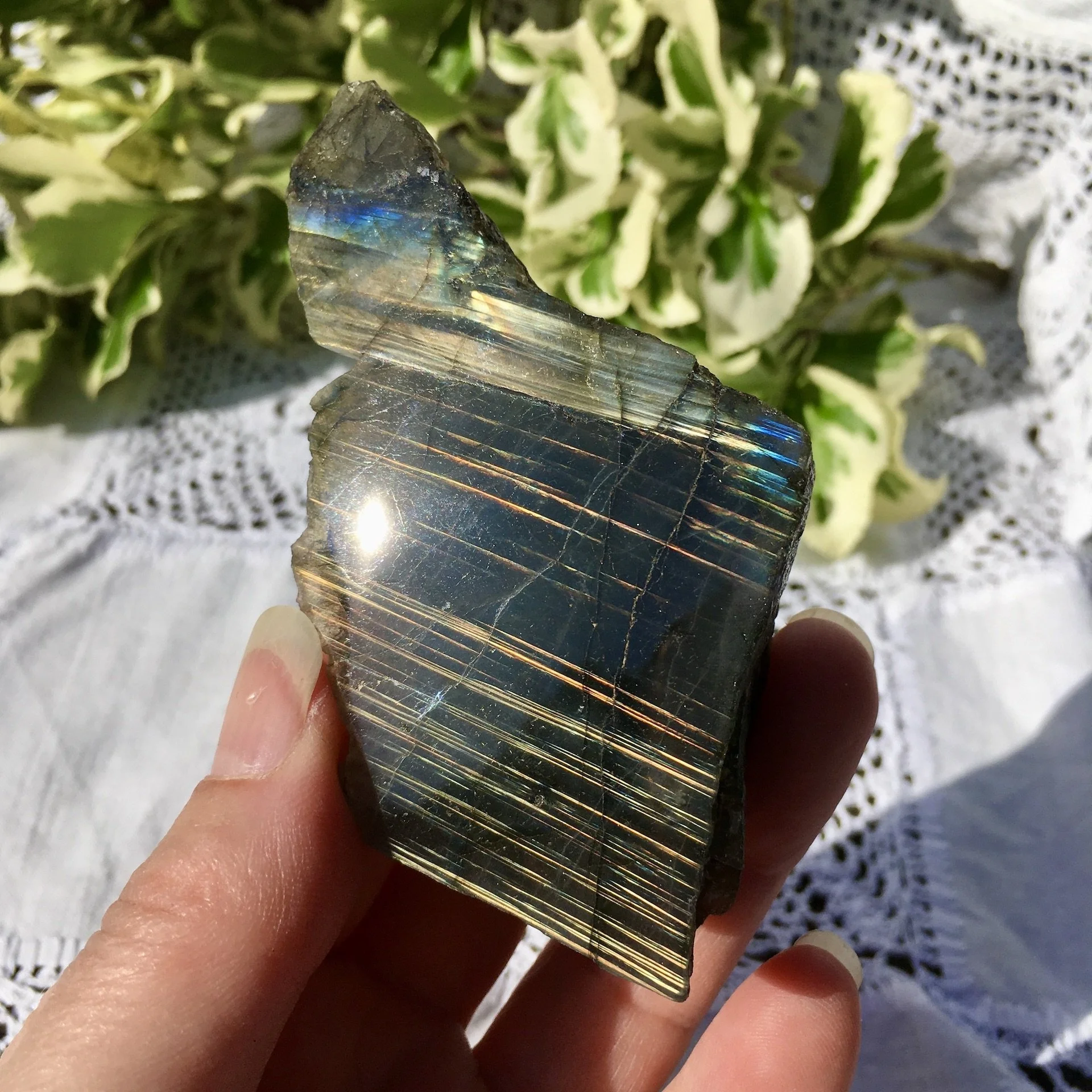 Labradorite polished one side 28d.jpeg