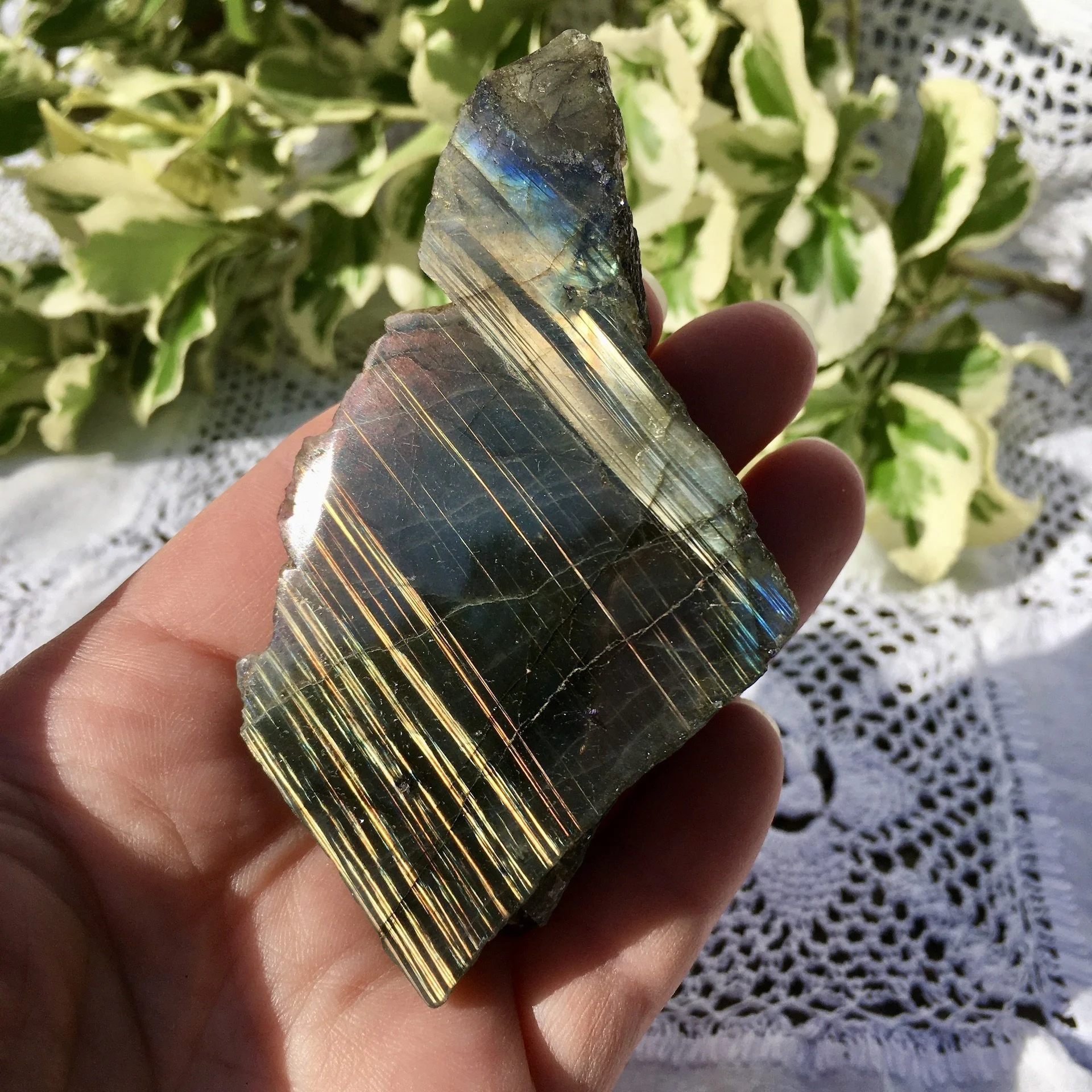Labradorite polished one side 28c.jpeg