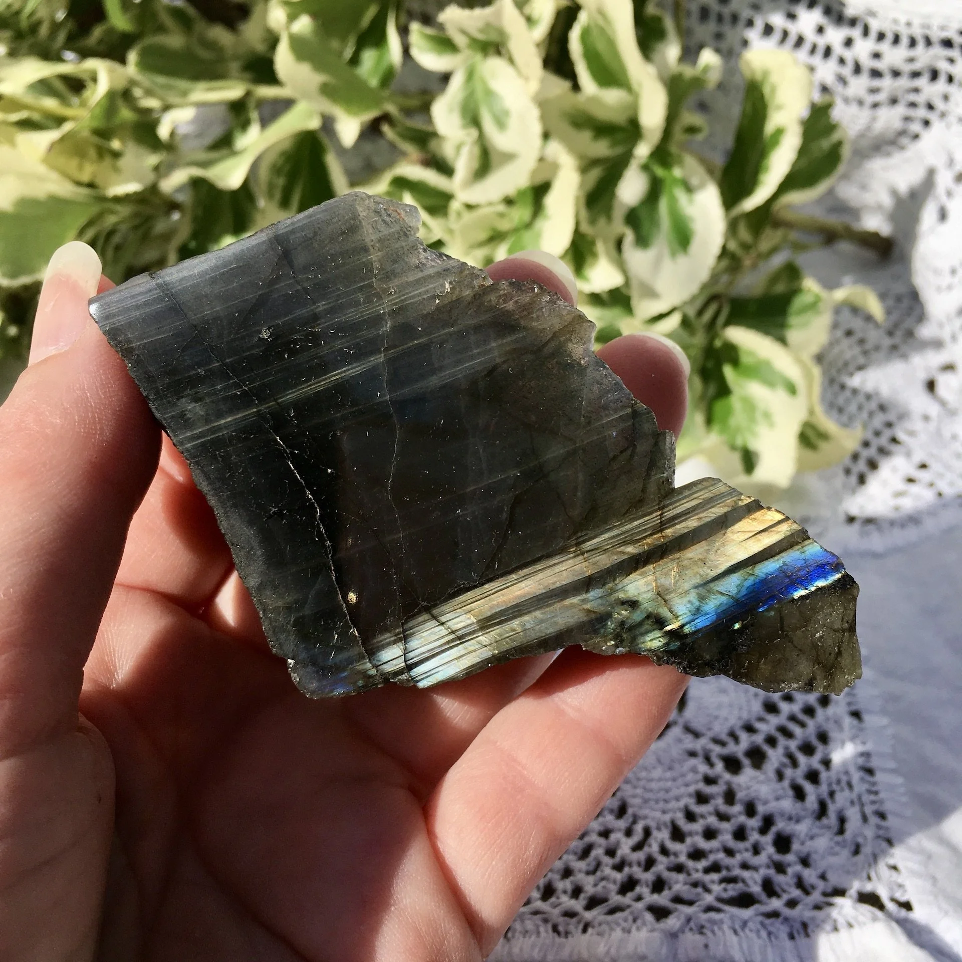Labradorite polished one side 28b.jpeg