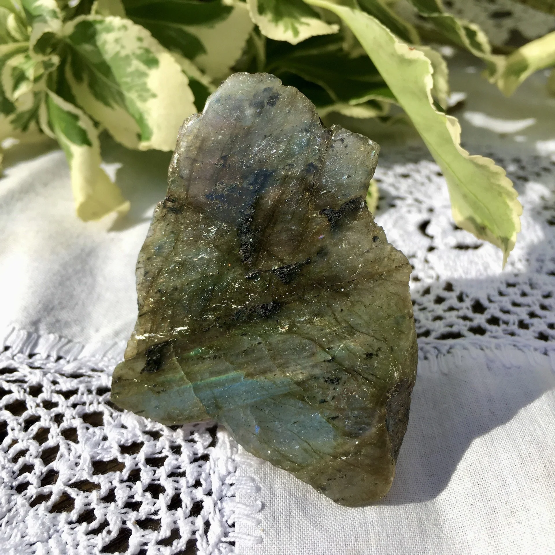 Labradorite polished one side 30a.jpeg