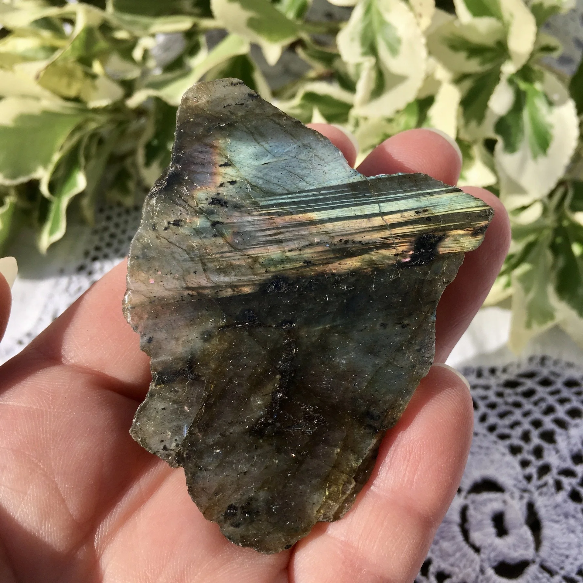 Labradorite polished one side 30b.jpeg
