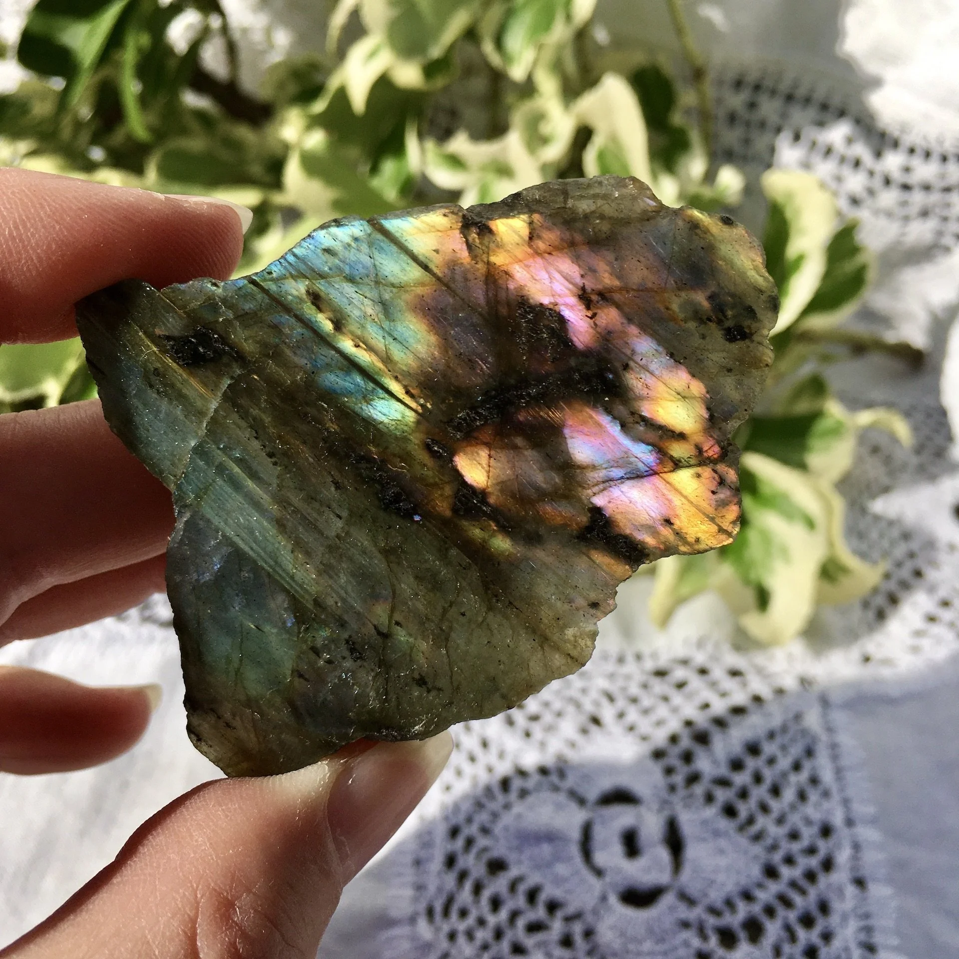 Labradorite polished one side 30c.jpeg