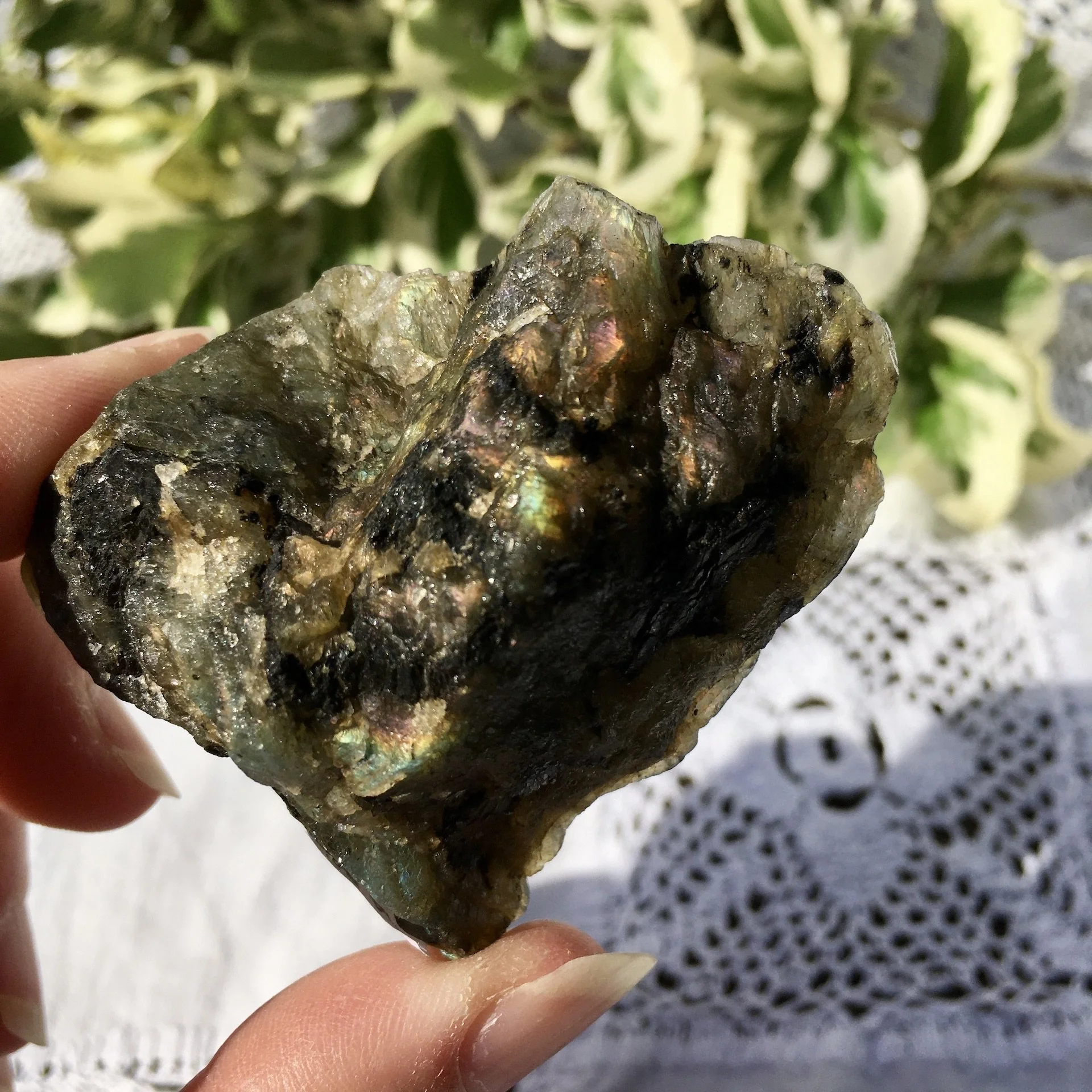 Labradorite polished one side 30e.jpeg