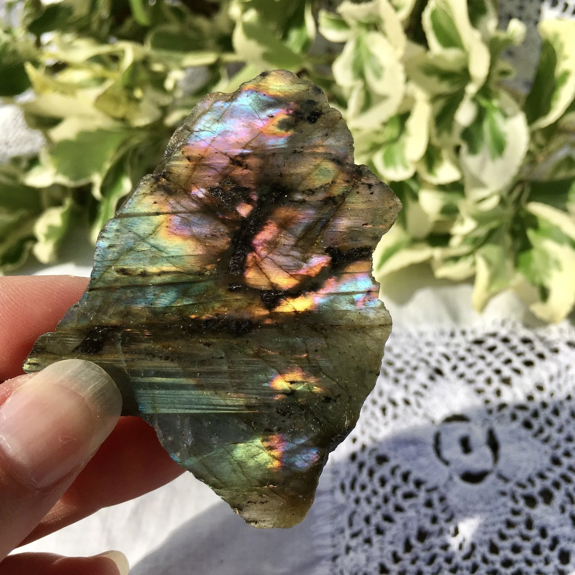 Labradorite polished one side 30d.jpeg