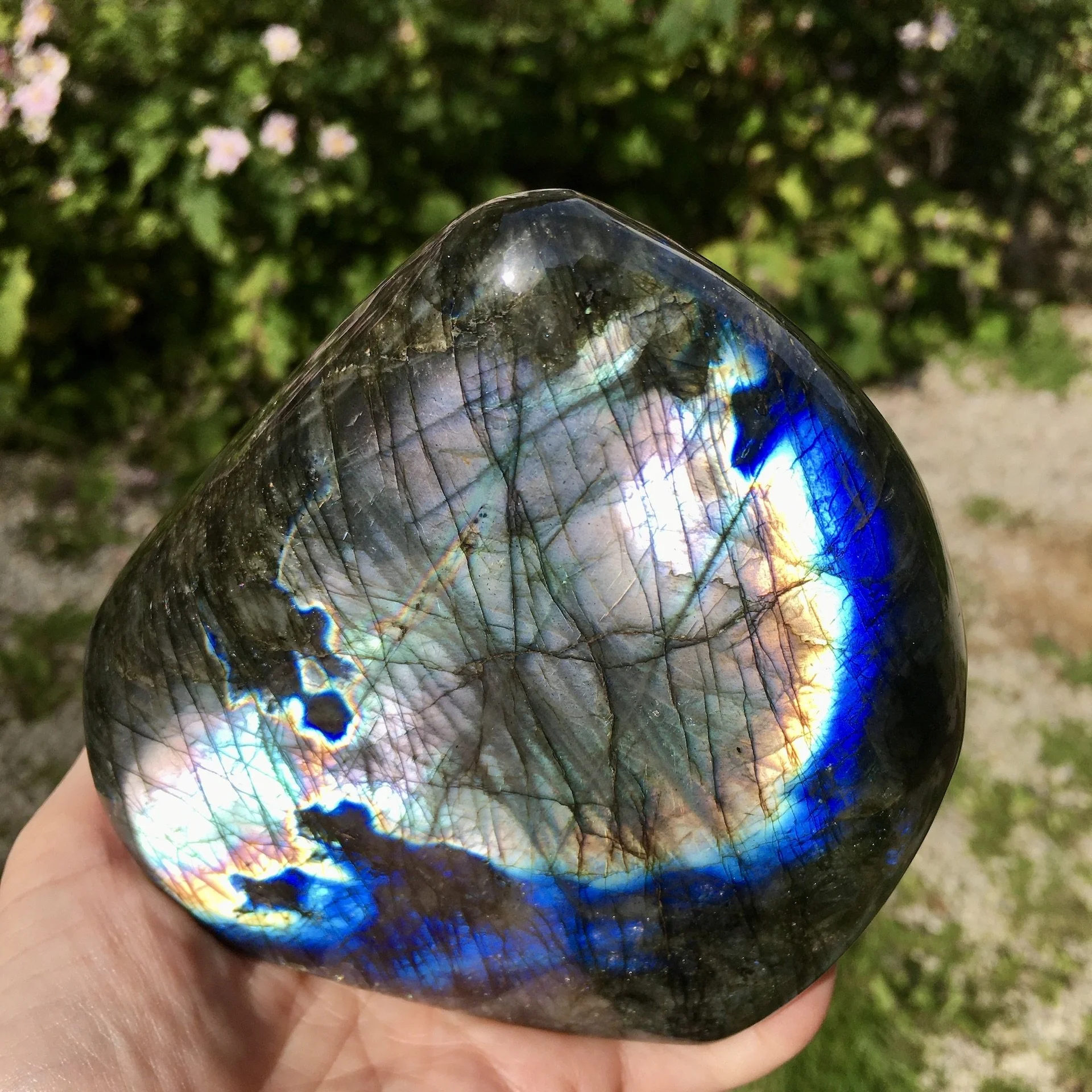 Labradorite polished 5j.jpeg