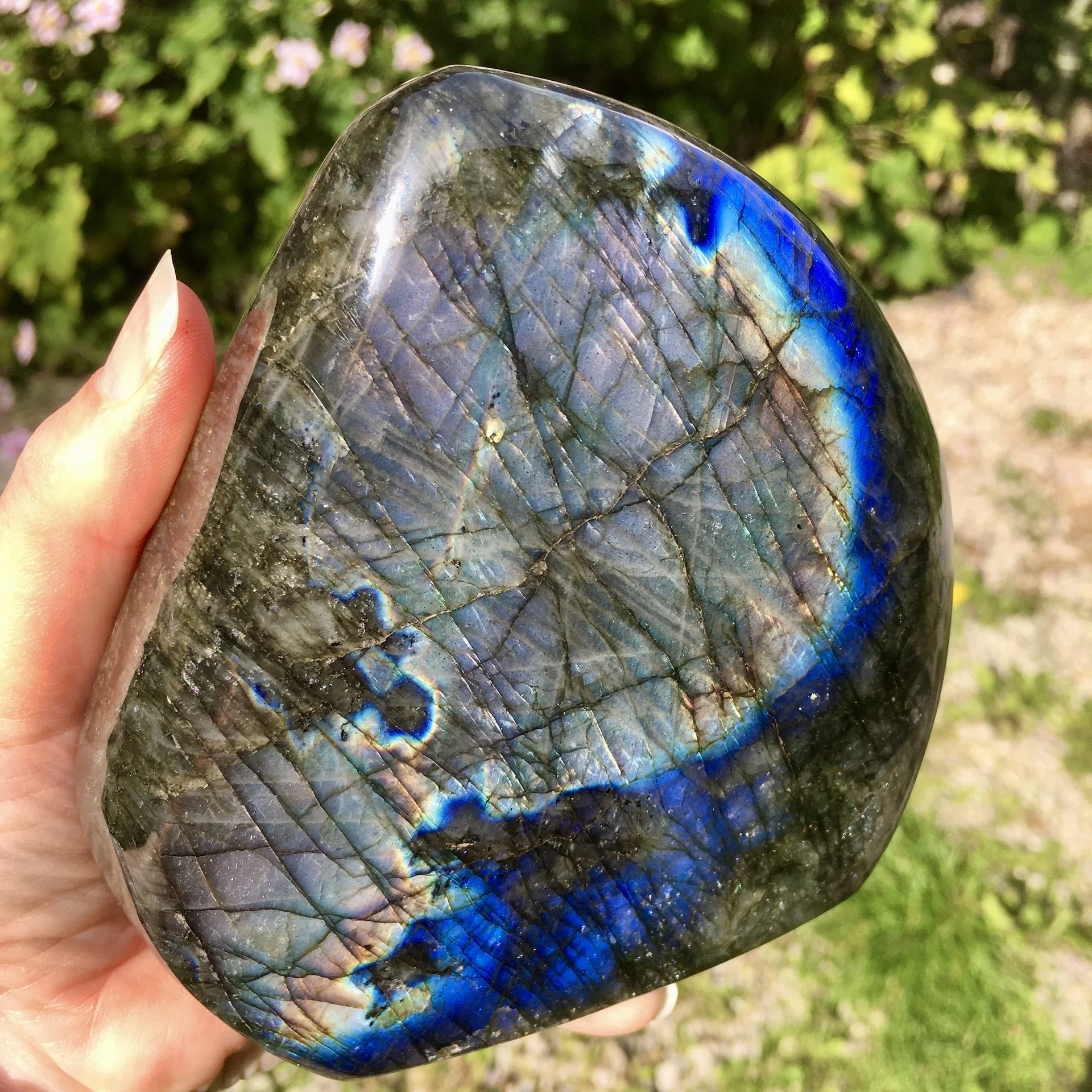 Labradorite polished 5i.jpeg