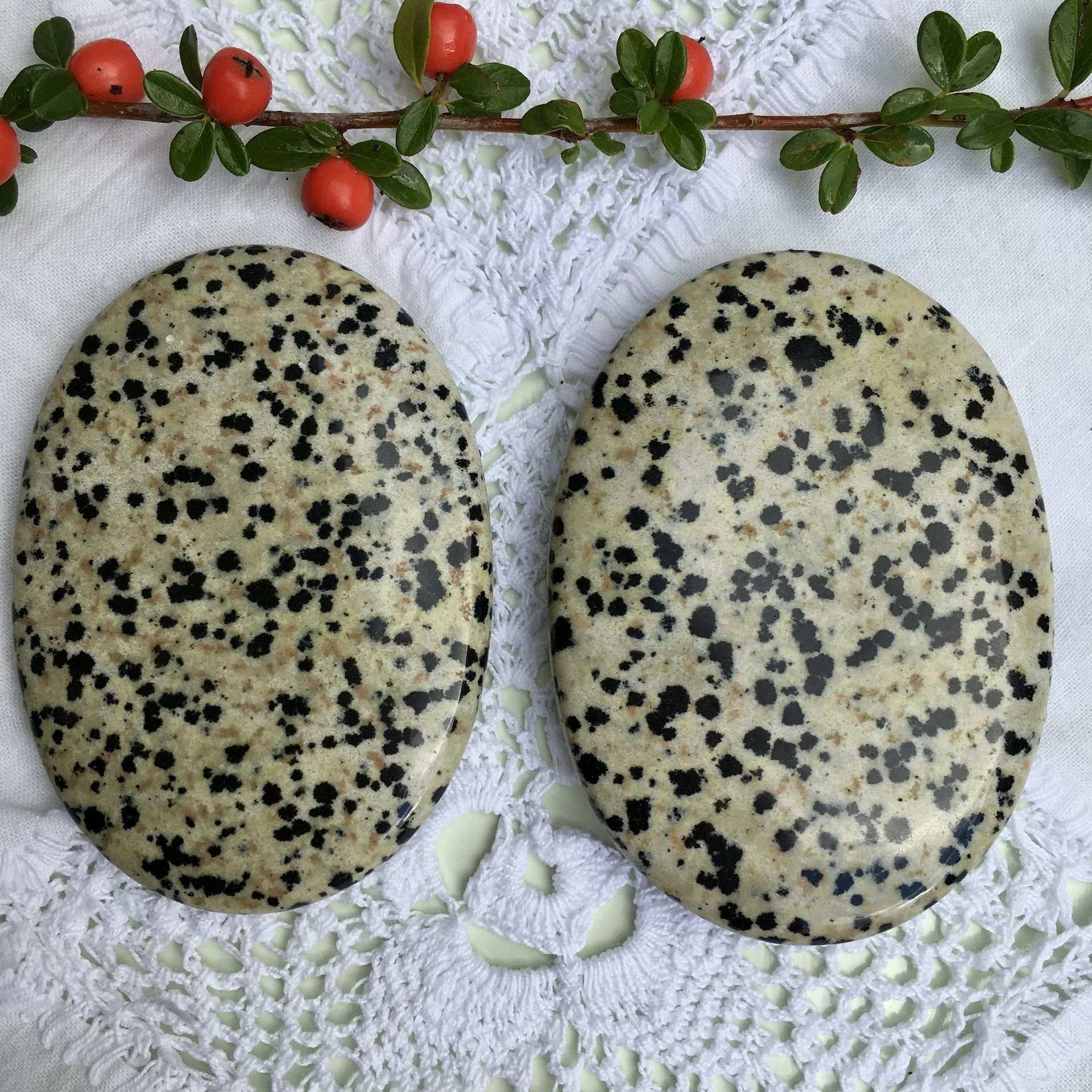 Dalmation Jasper palmstone.jpeg