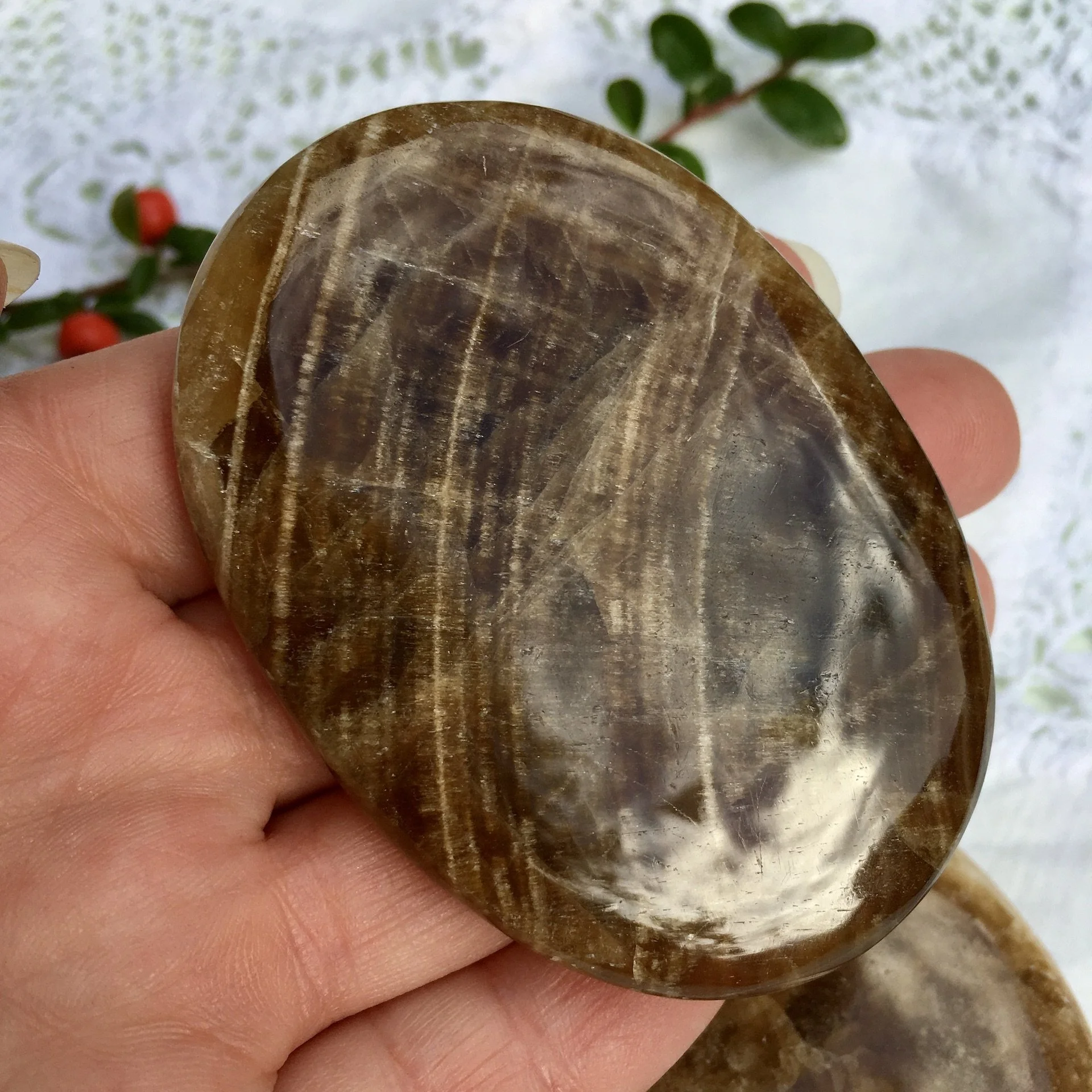 Aragonite palmstone 3.jpeg