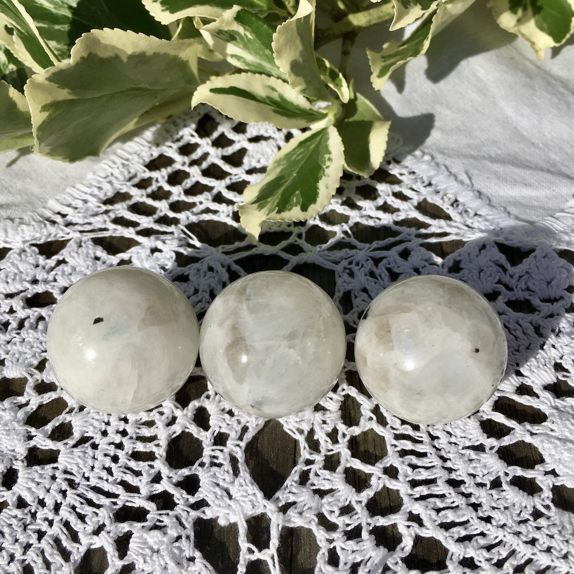 Rainbow Moonstone 25mm sphere.jpeg