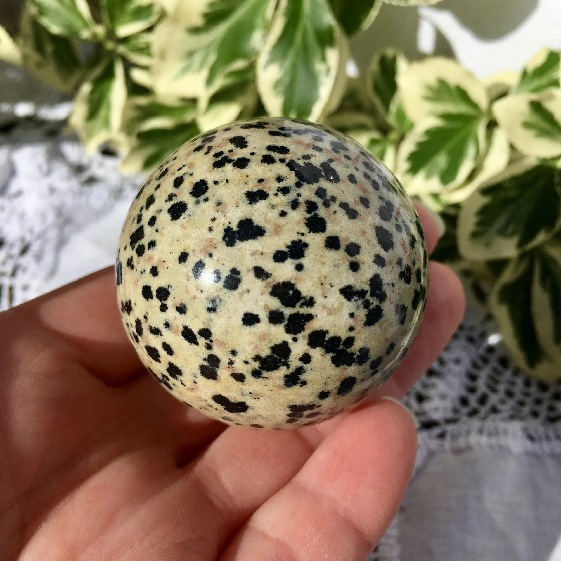 Dalmation Jasper sphere 45mm b.jpeg