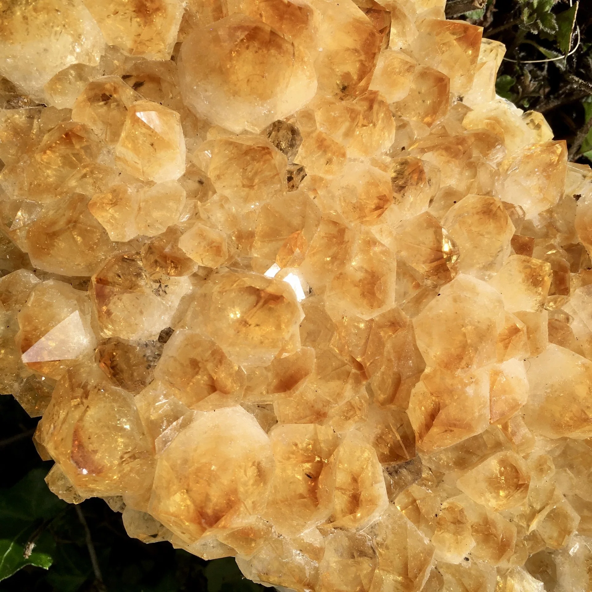 Citrine Cluster 2c.jpeg
