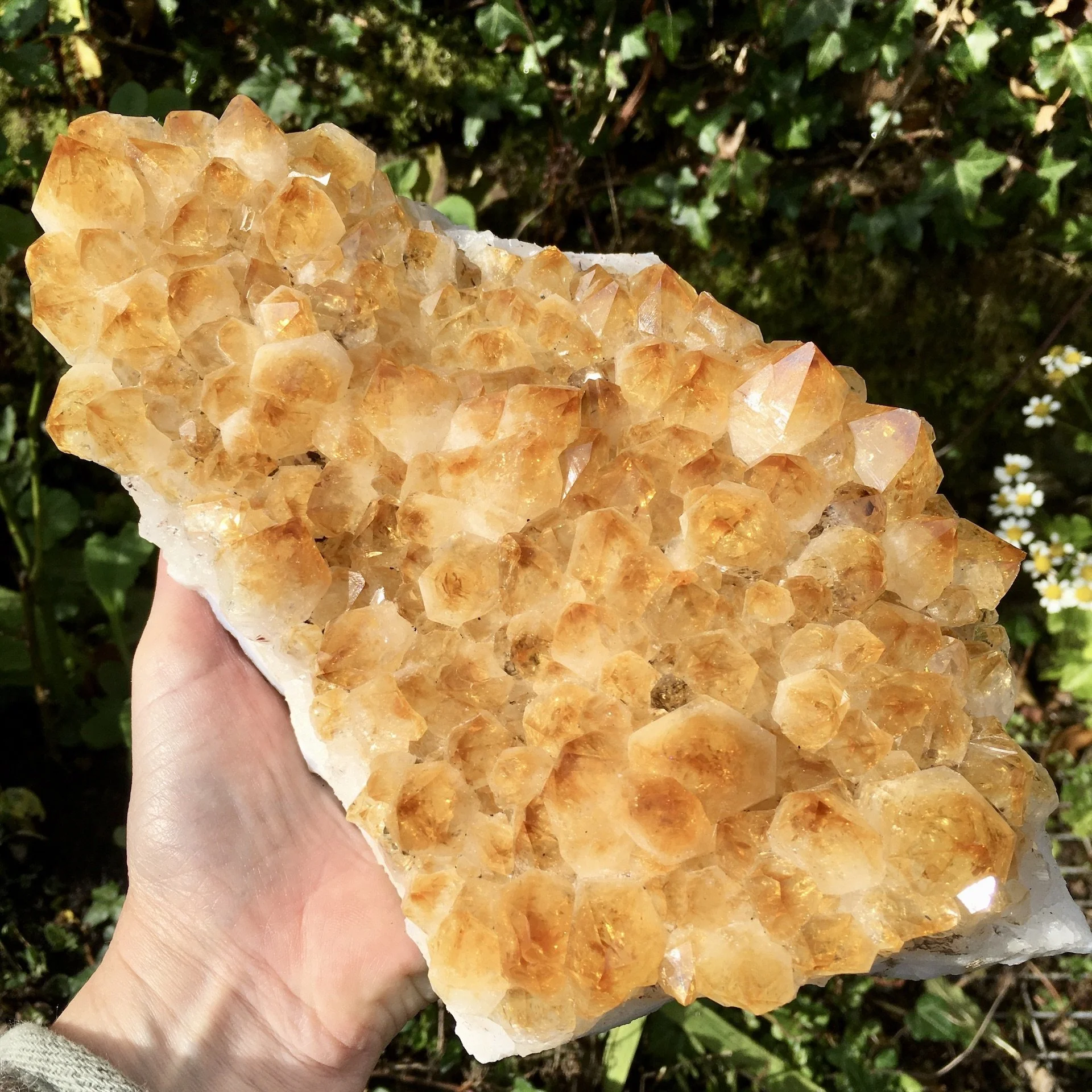 Citrine Cluster 2d.jpeg