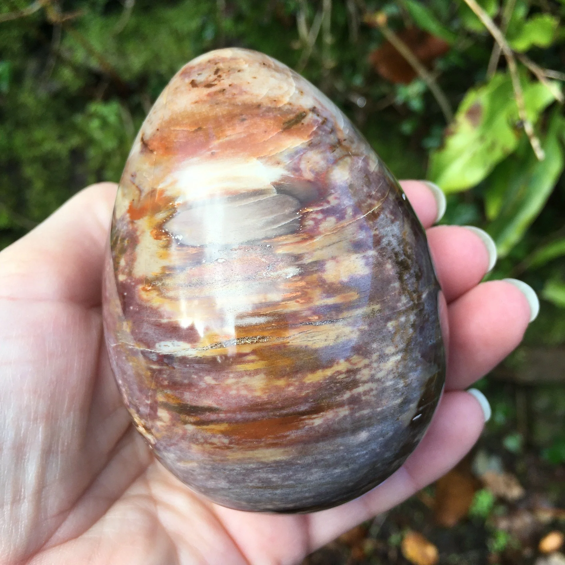 Petrified wood egg 1e.jpeg