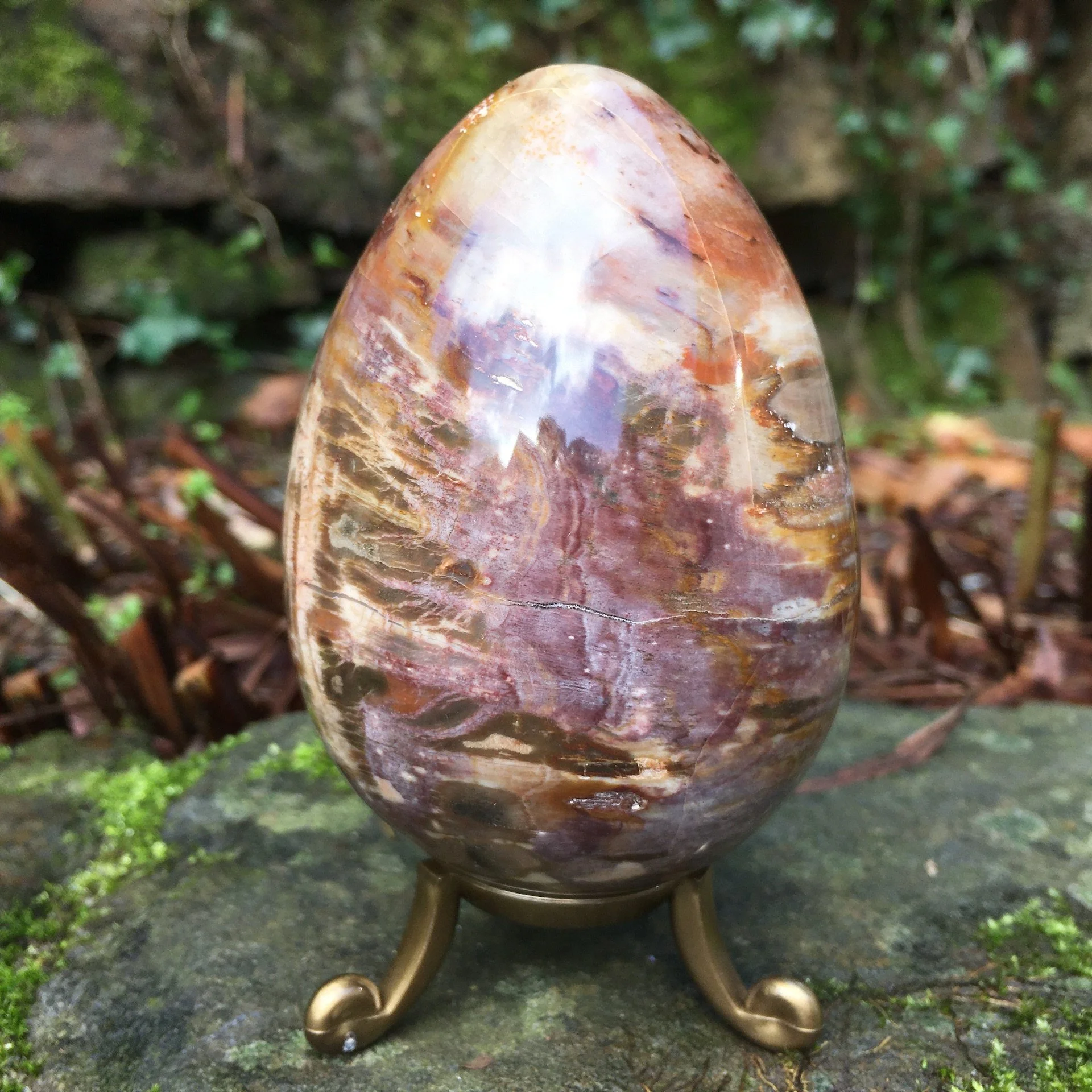 Petrified wood egg 1d.jpeg