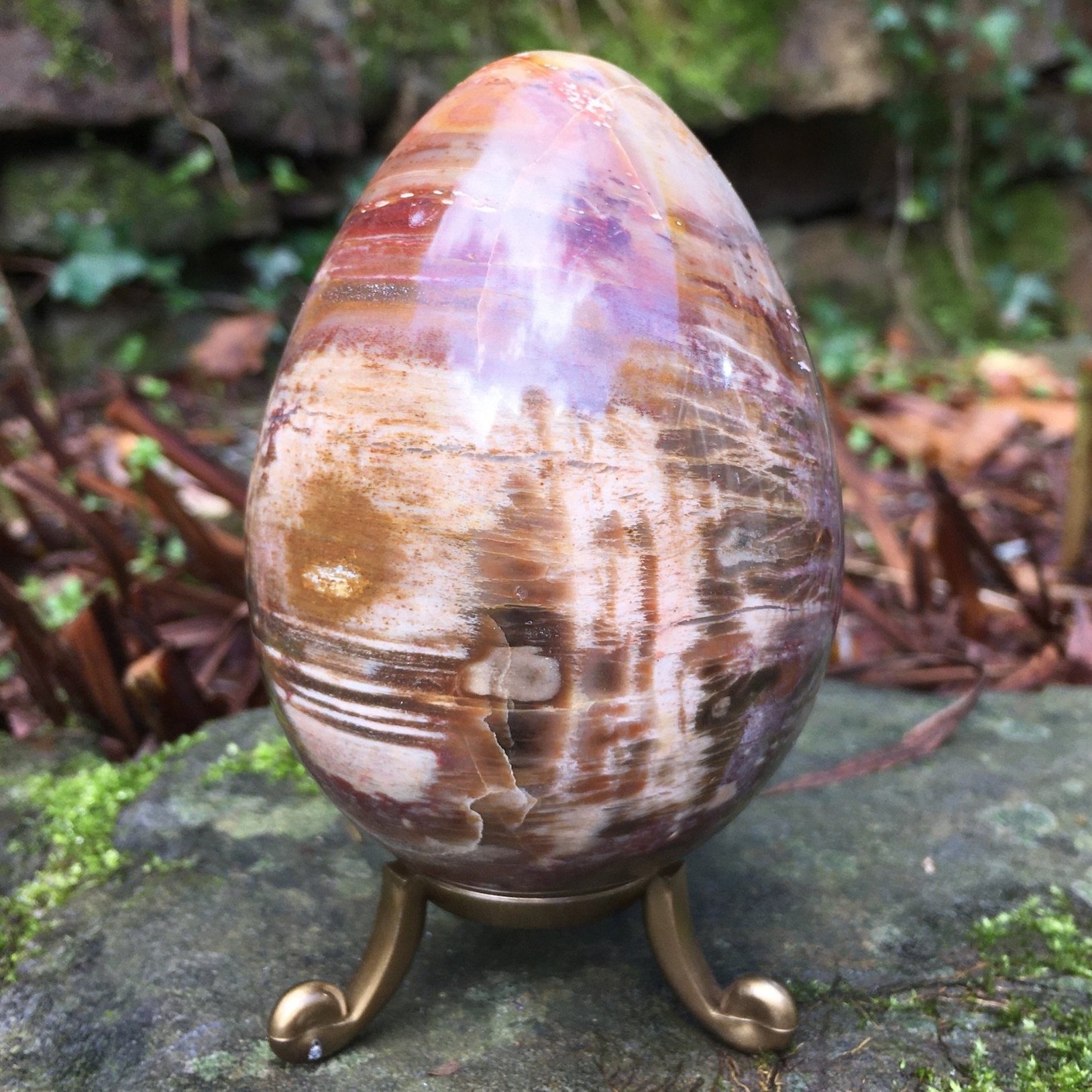 Petrified+wood+egg+1a.jpg