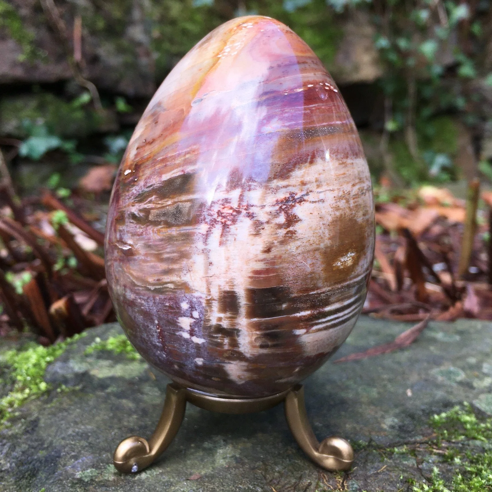 Petrified+wood+egg+1b.jpg