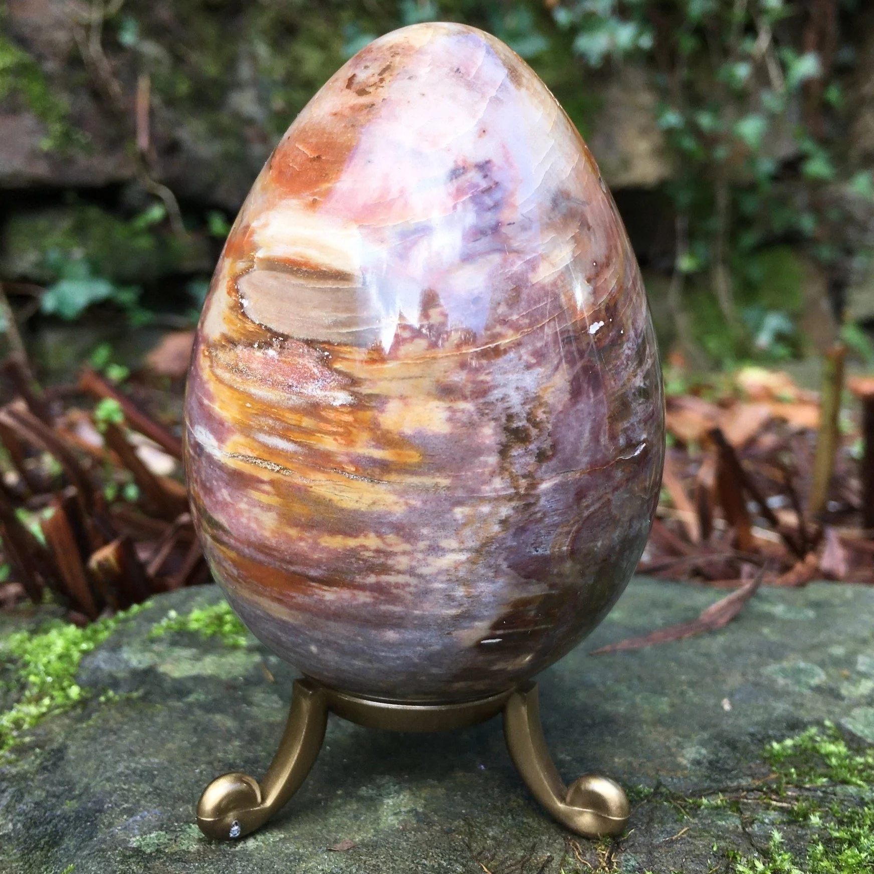 Petrified+wood+egg+1c.jpg