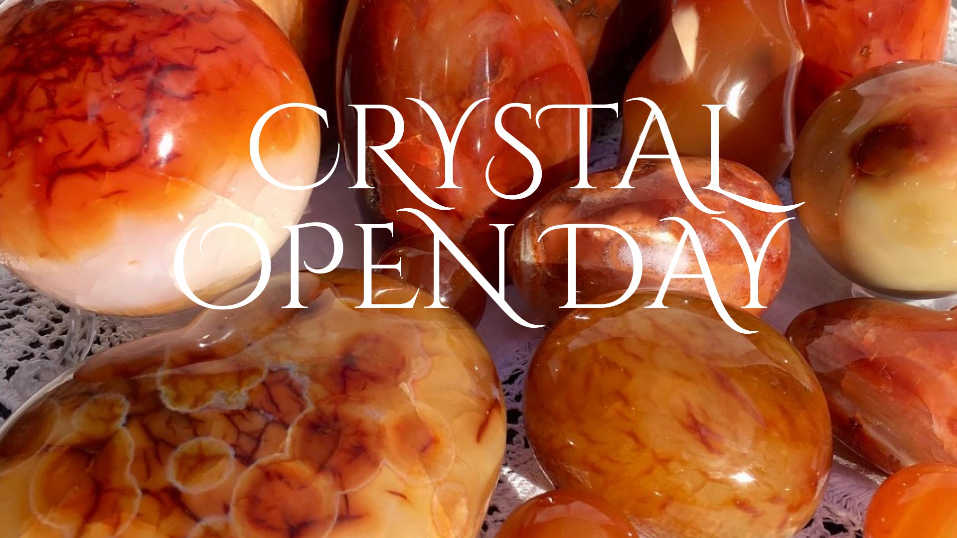 Crystal Barn Open Day