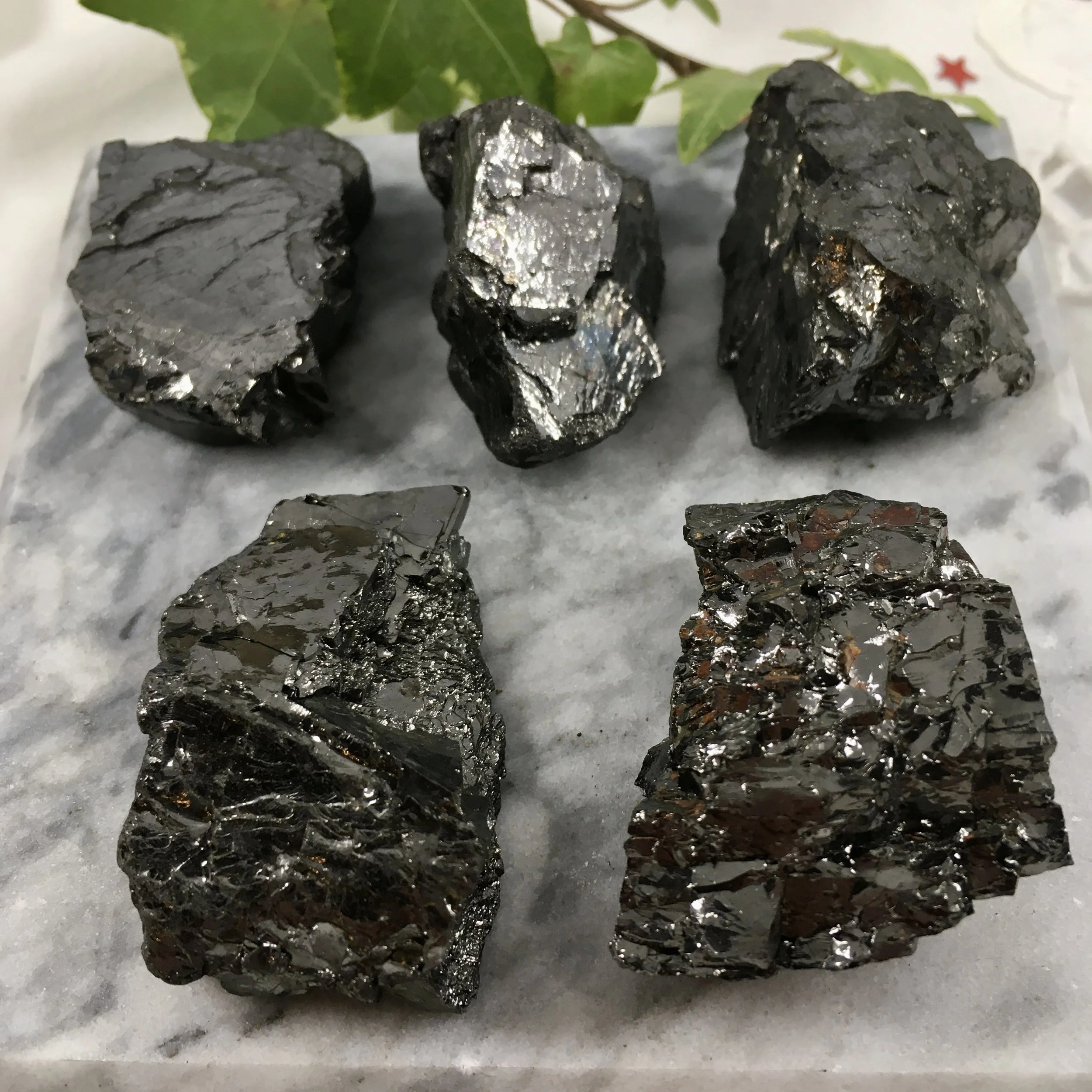 Elite group 10-15g.jpeg