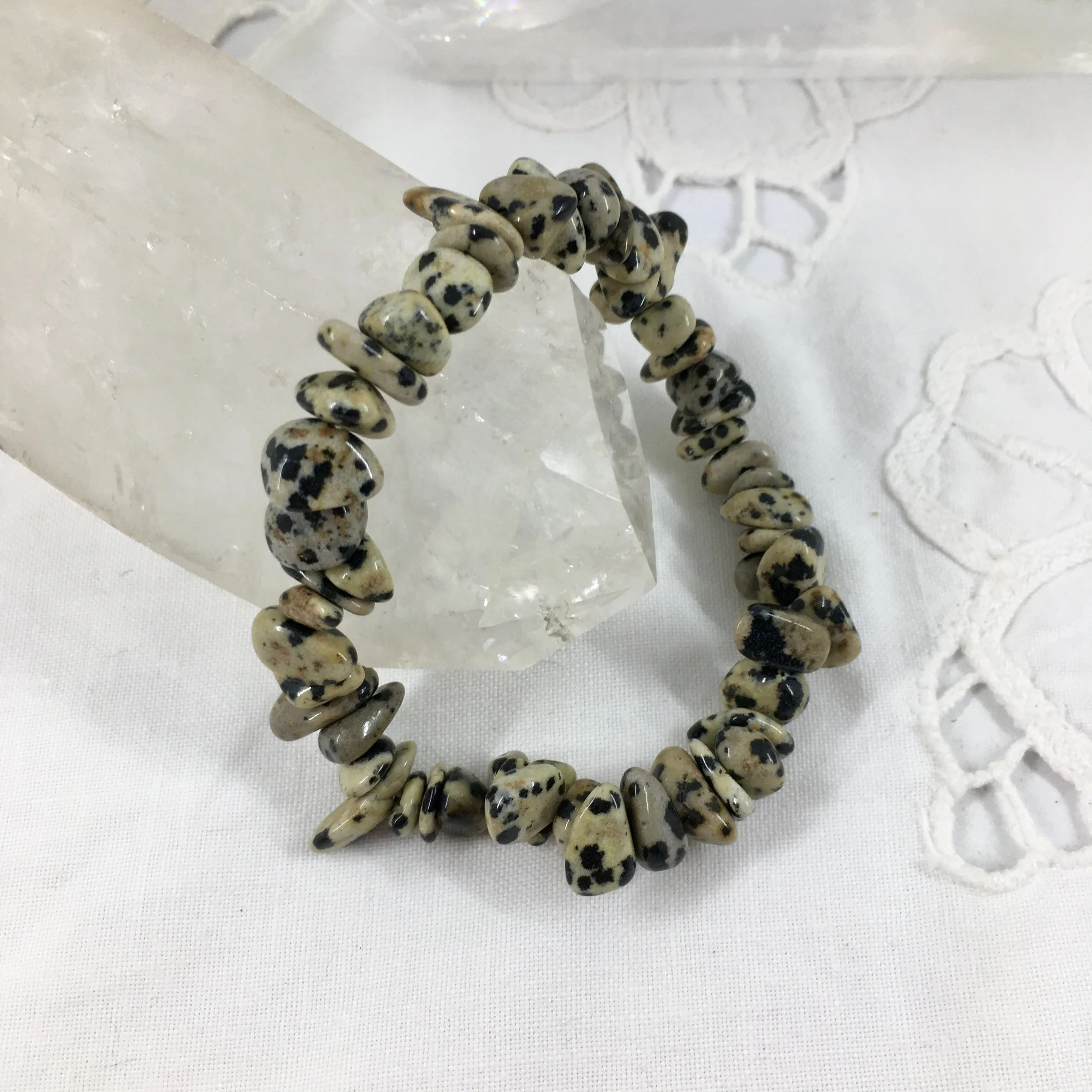 Dalmation gemchip a.jpeg